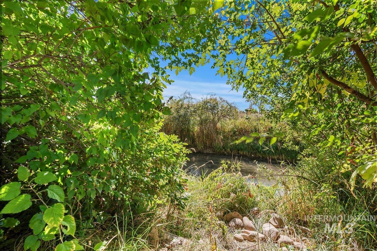View of nature