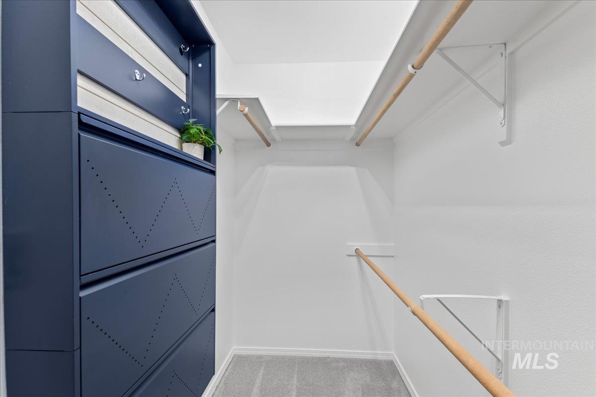 Spacious closet featuring carpet
