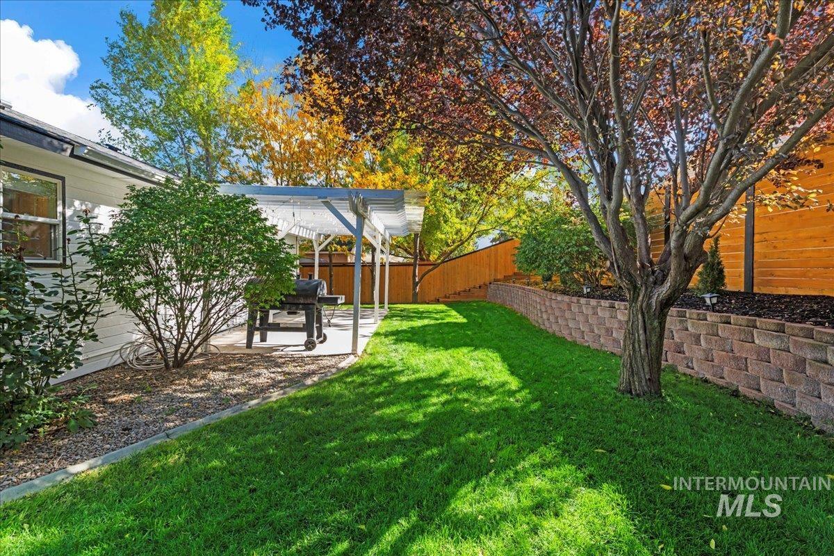 View of yard featuring a patio