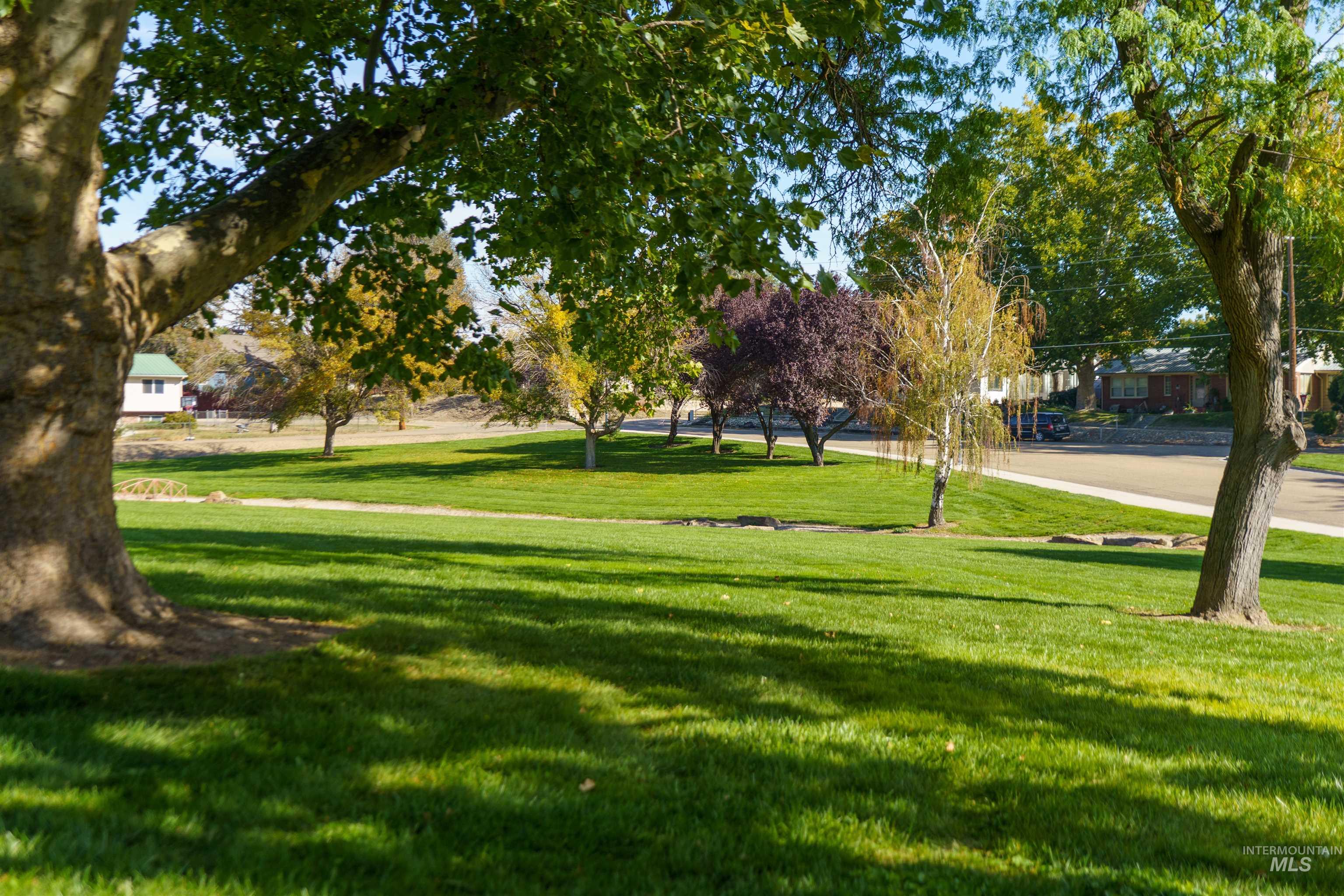 View of community featuring a yard