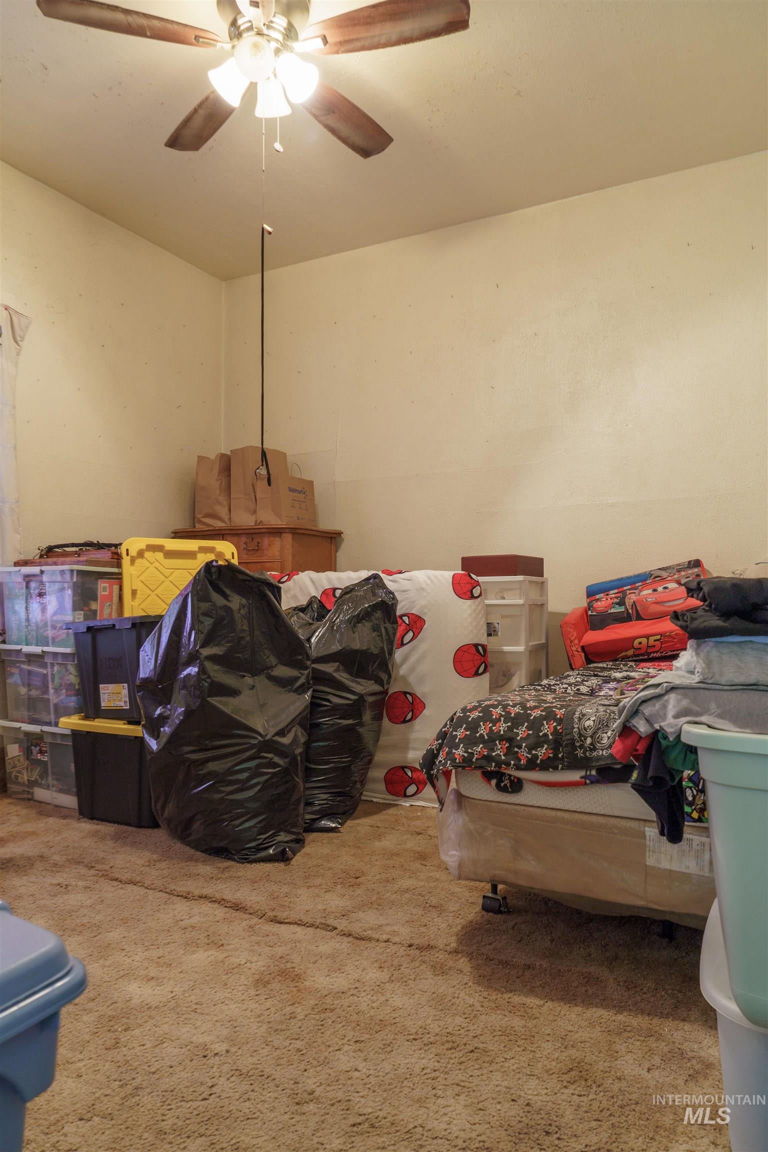 Storage area featuring ceiling fan