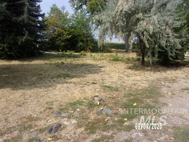 View of undeveloped land