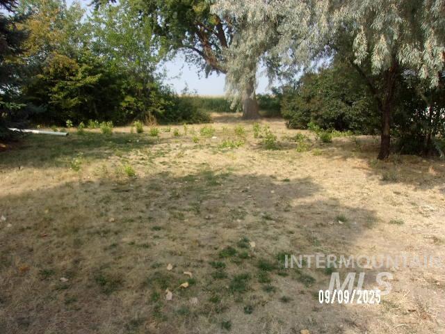 View of undeveloped land