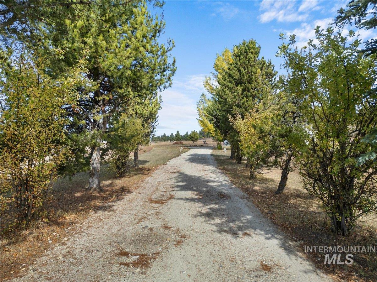 View of road
