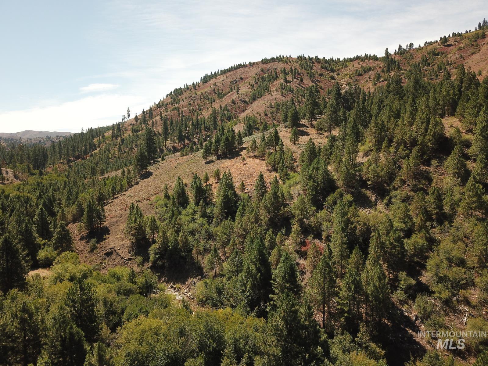 Lot 14 Long Gulch, Prairie, Idaho 83647, Land For Sale, Price $199,000, 98965219