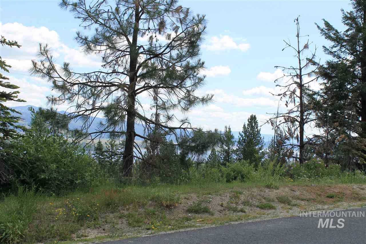 541 Whitewater Dr, Donnelly, Idaho 83615, Land For Sale, Price $499,900, 98965231