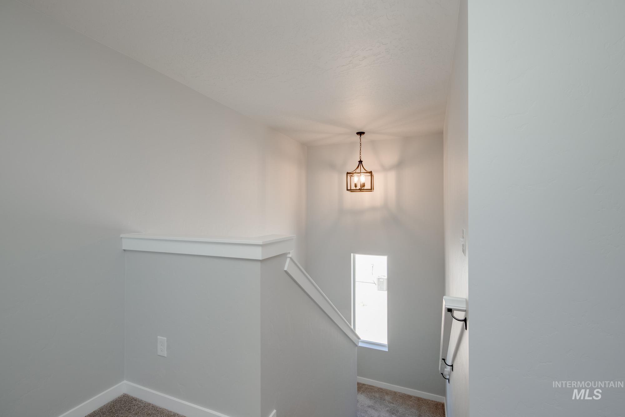 Staircase with carpet flooring