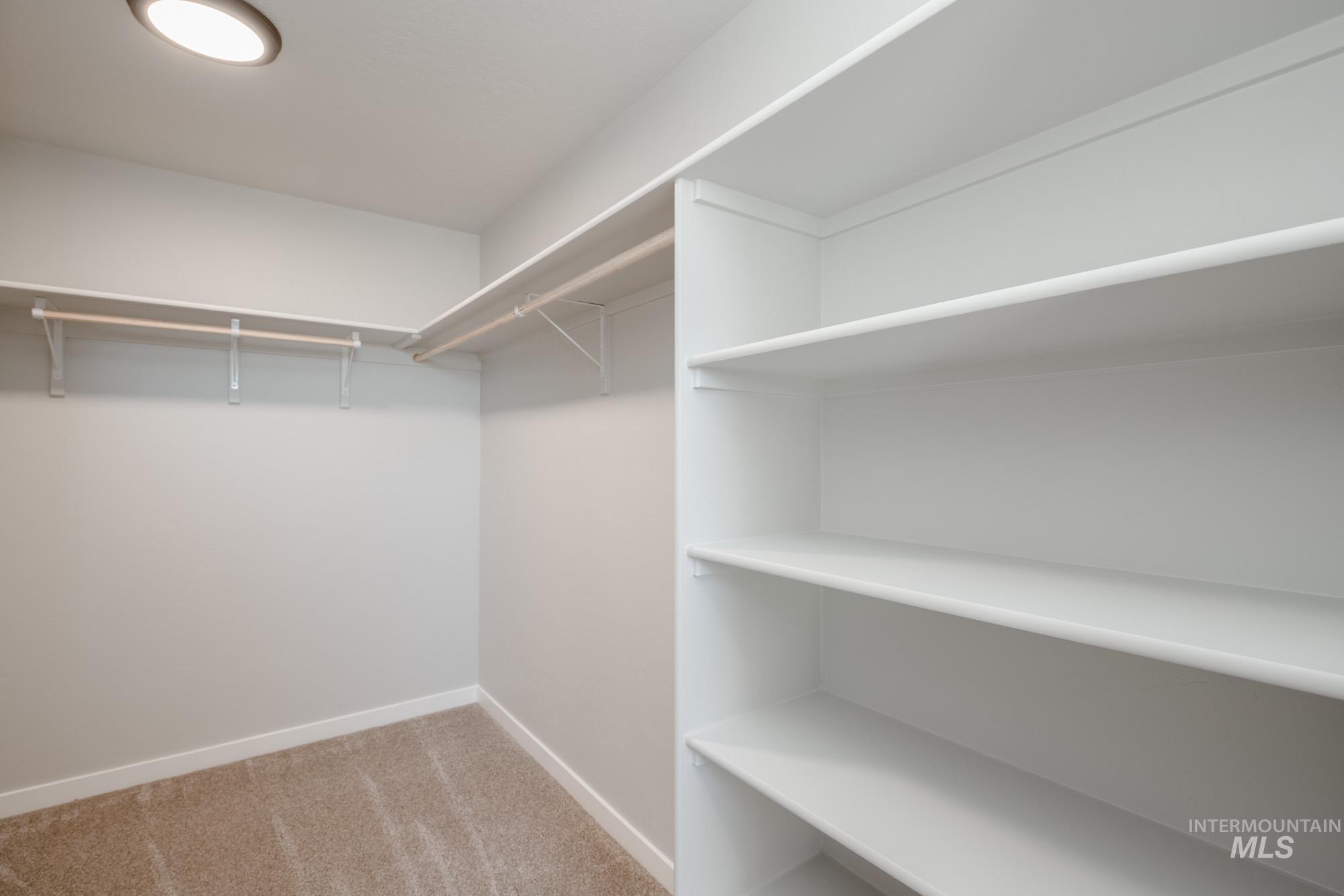 Walk in closet featuring light carpet