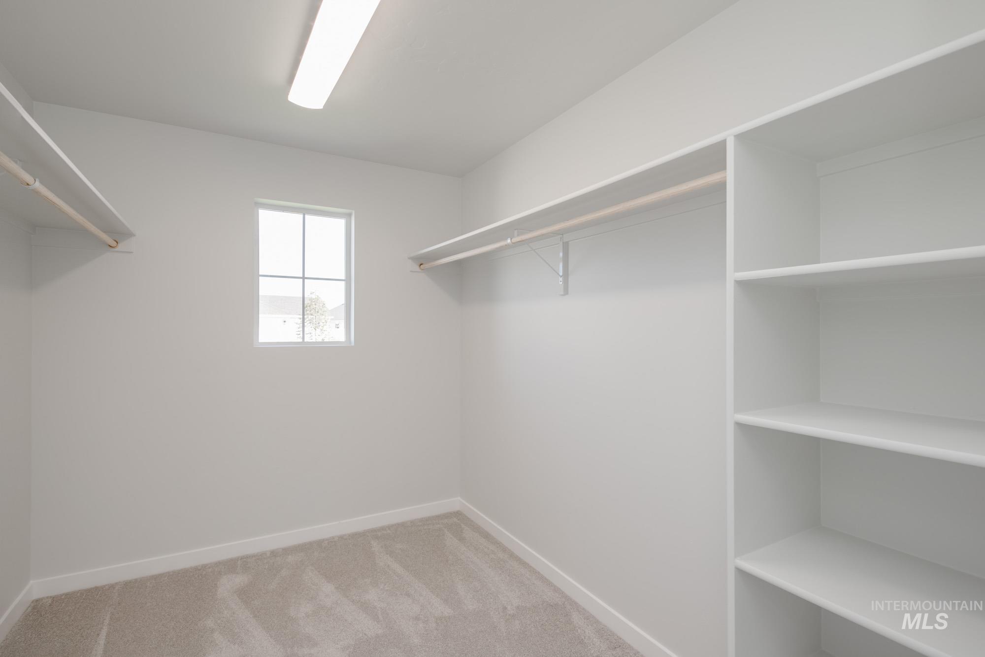 Spacious closet with light colored carpet