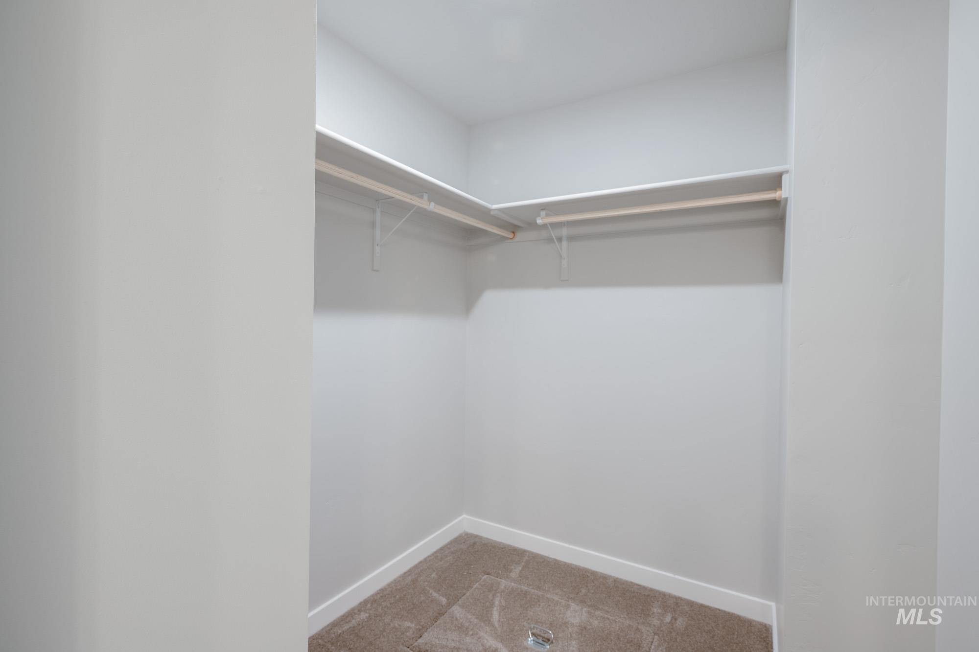 Walk in closet featuring light colored carpet