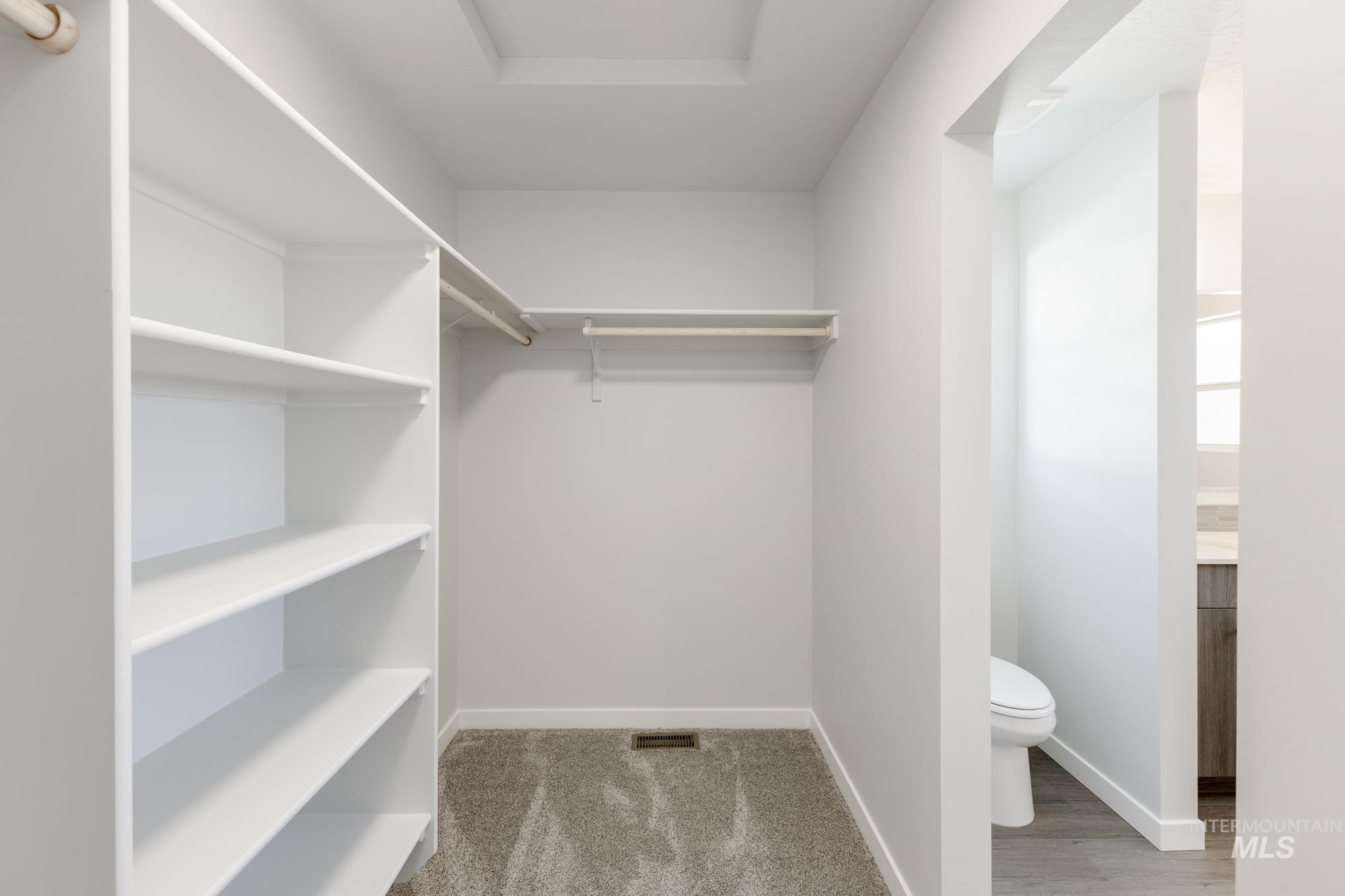 Walk in closet with light carpet