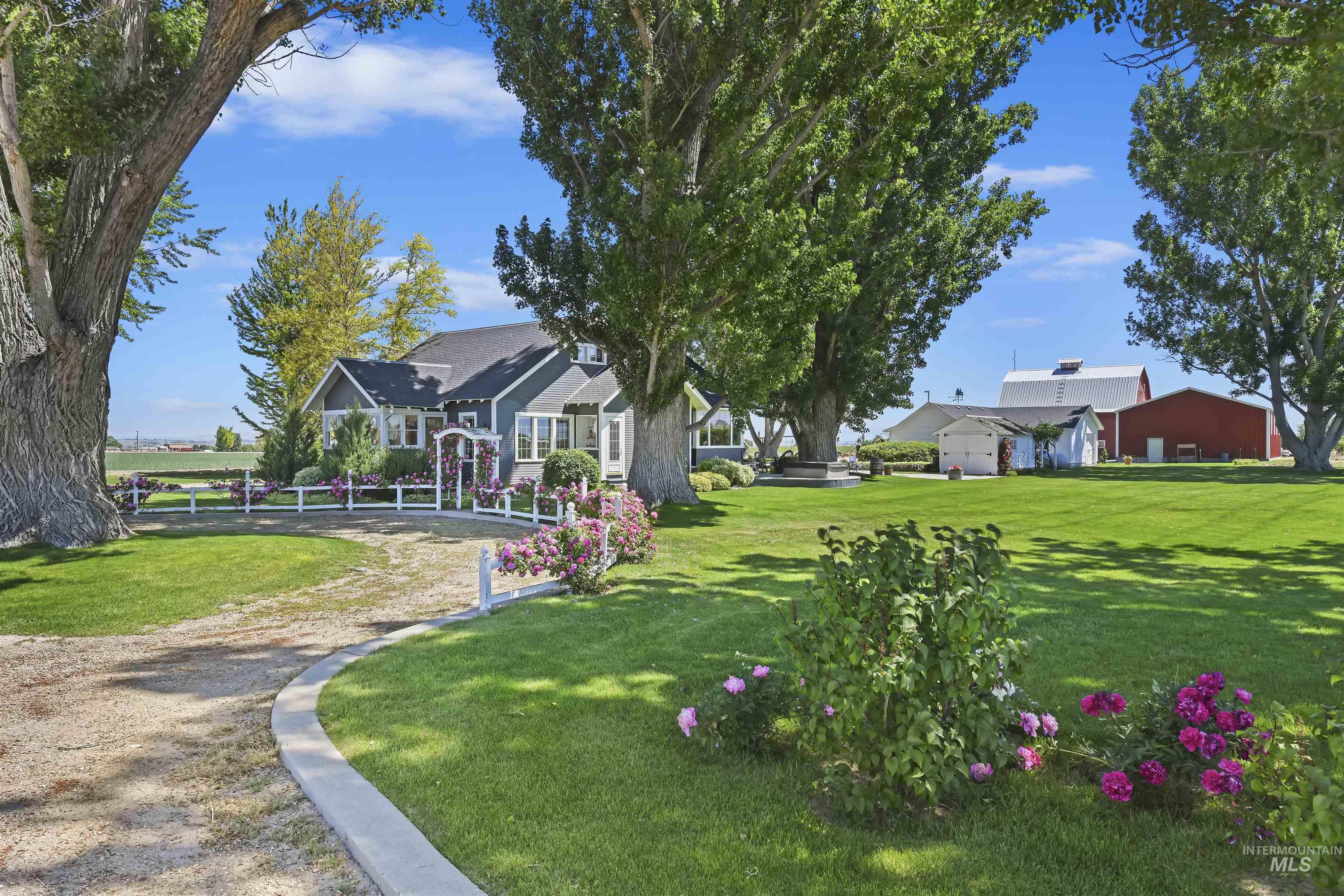 View of grassy yard