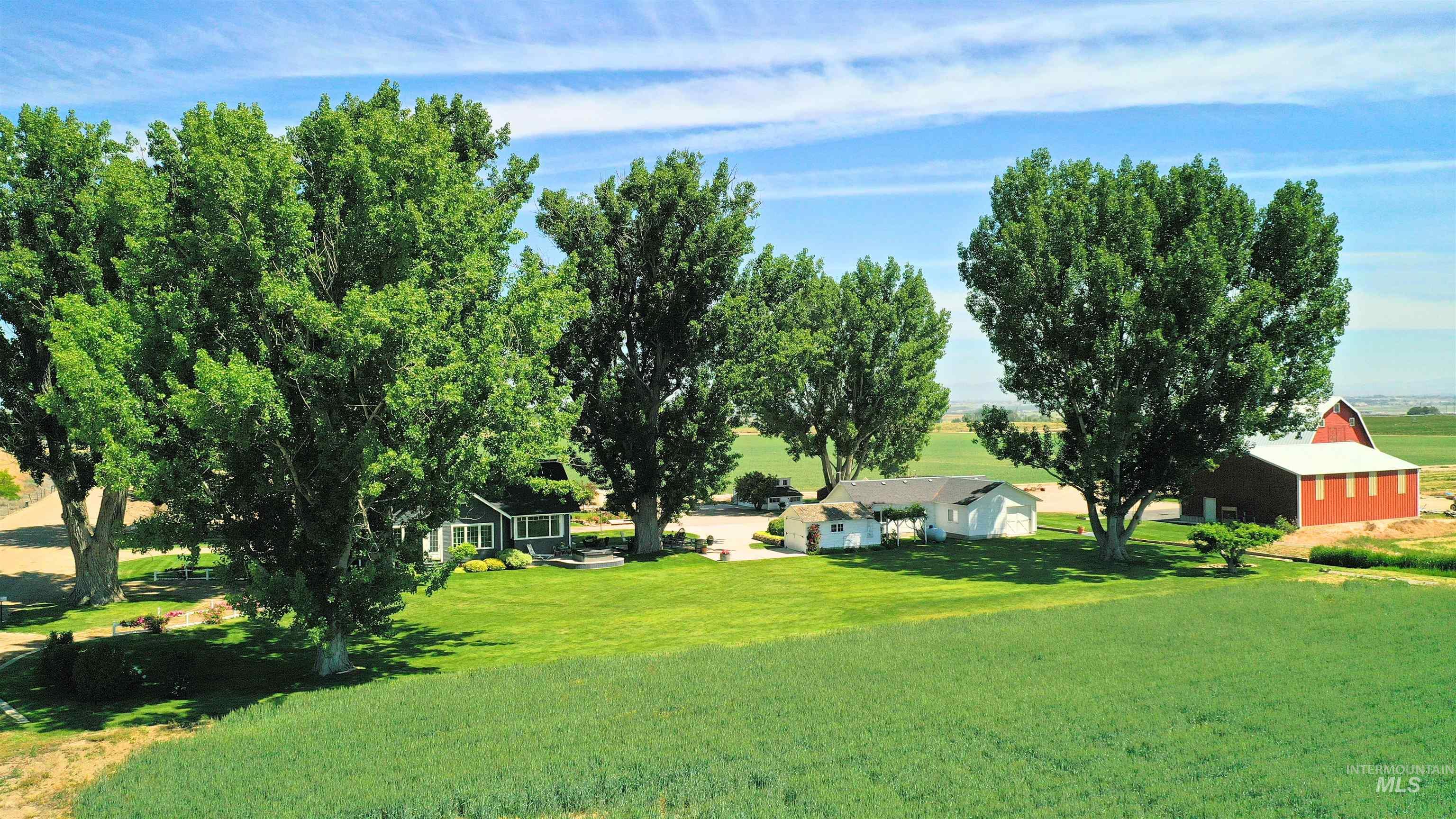 View of green lawn