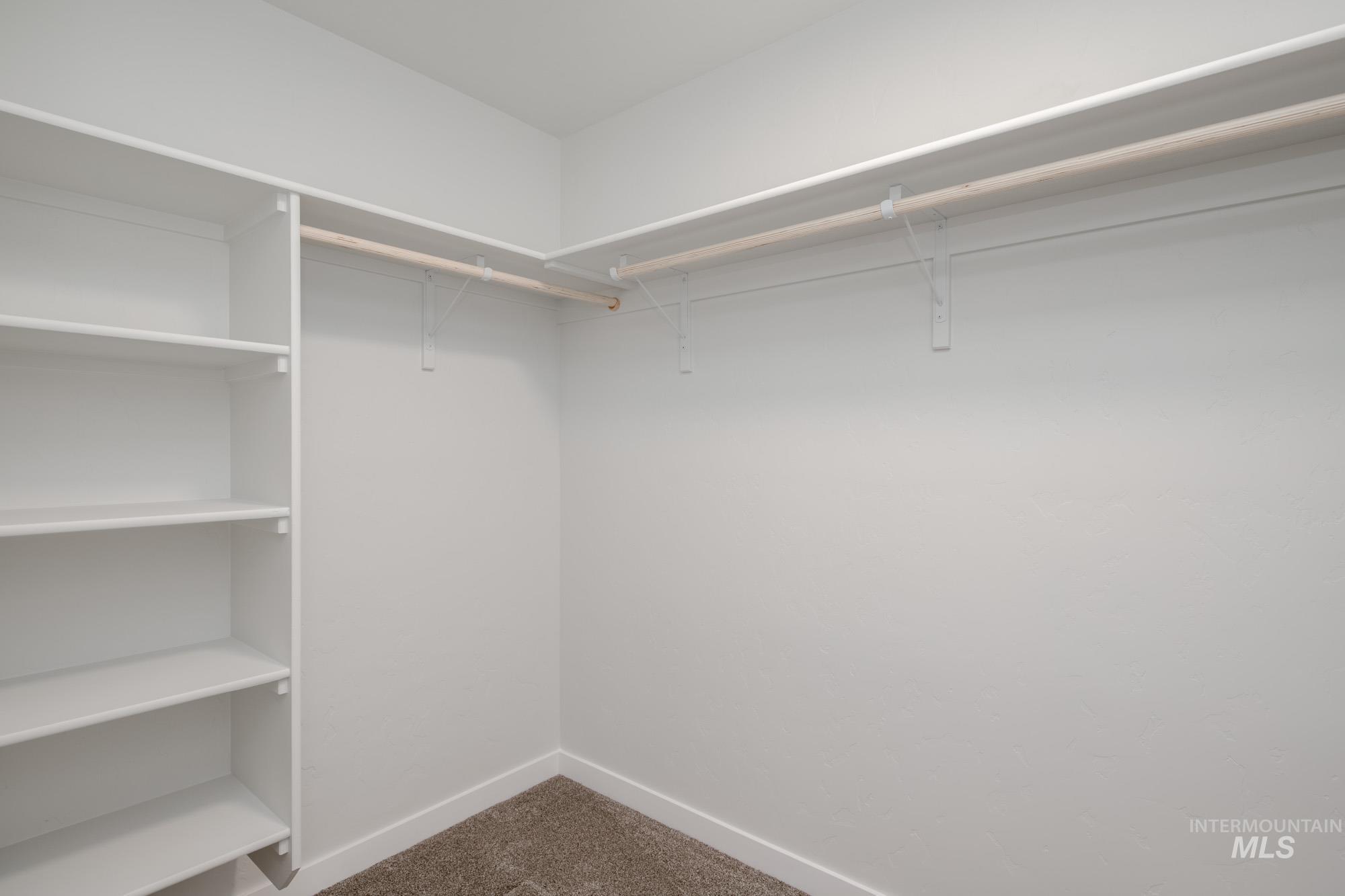 Spacious closet featuring dark carpet