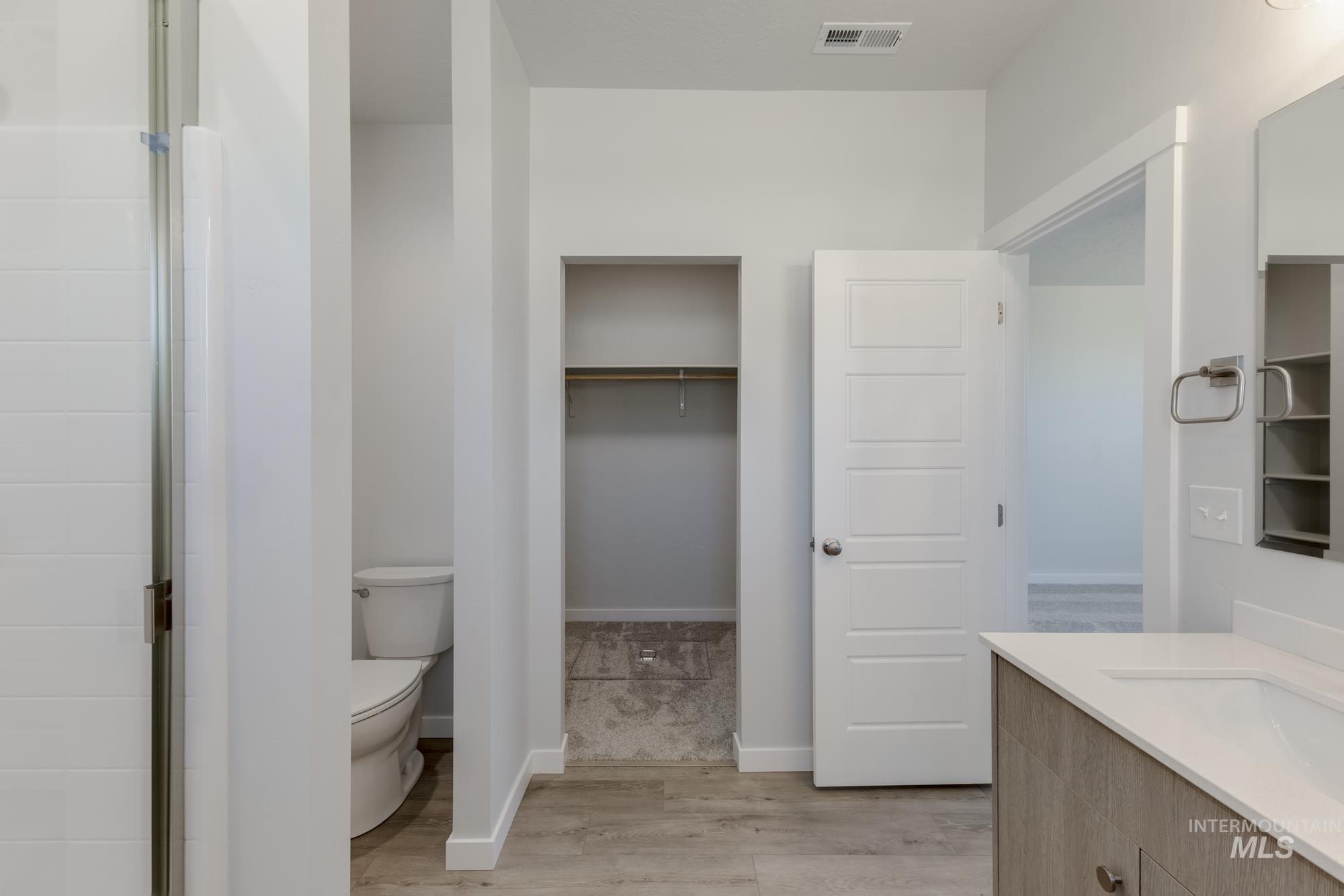 Full bathroom featuring light wood-style flooring, a walk in closet, and vanity