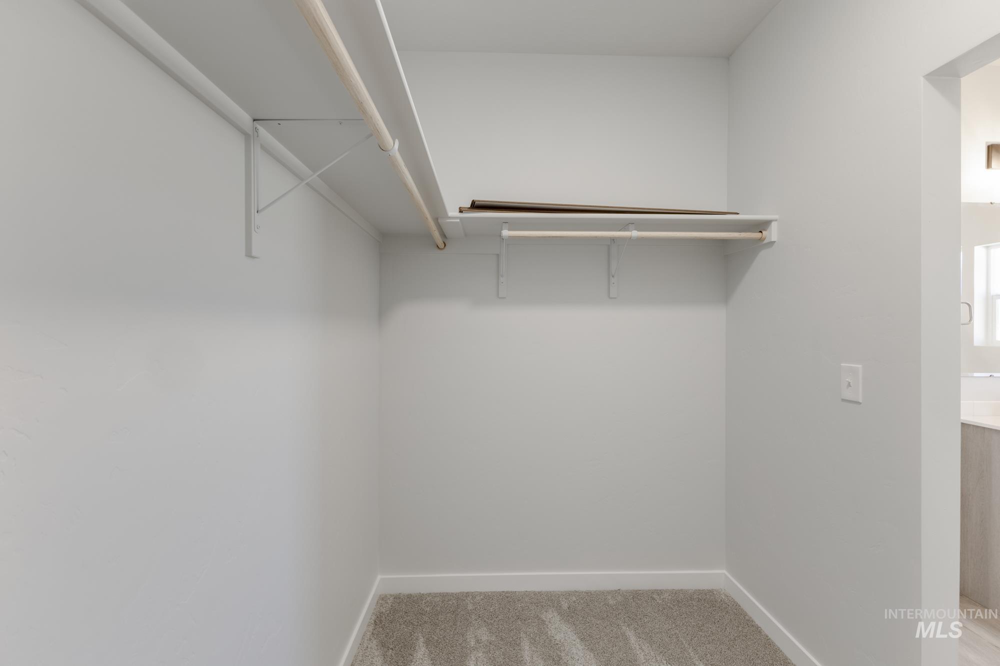 Walk in closet featuring light colored carpet