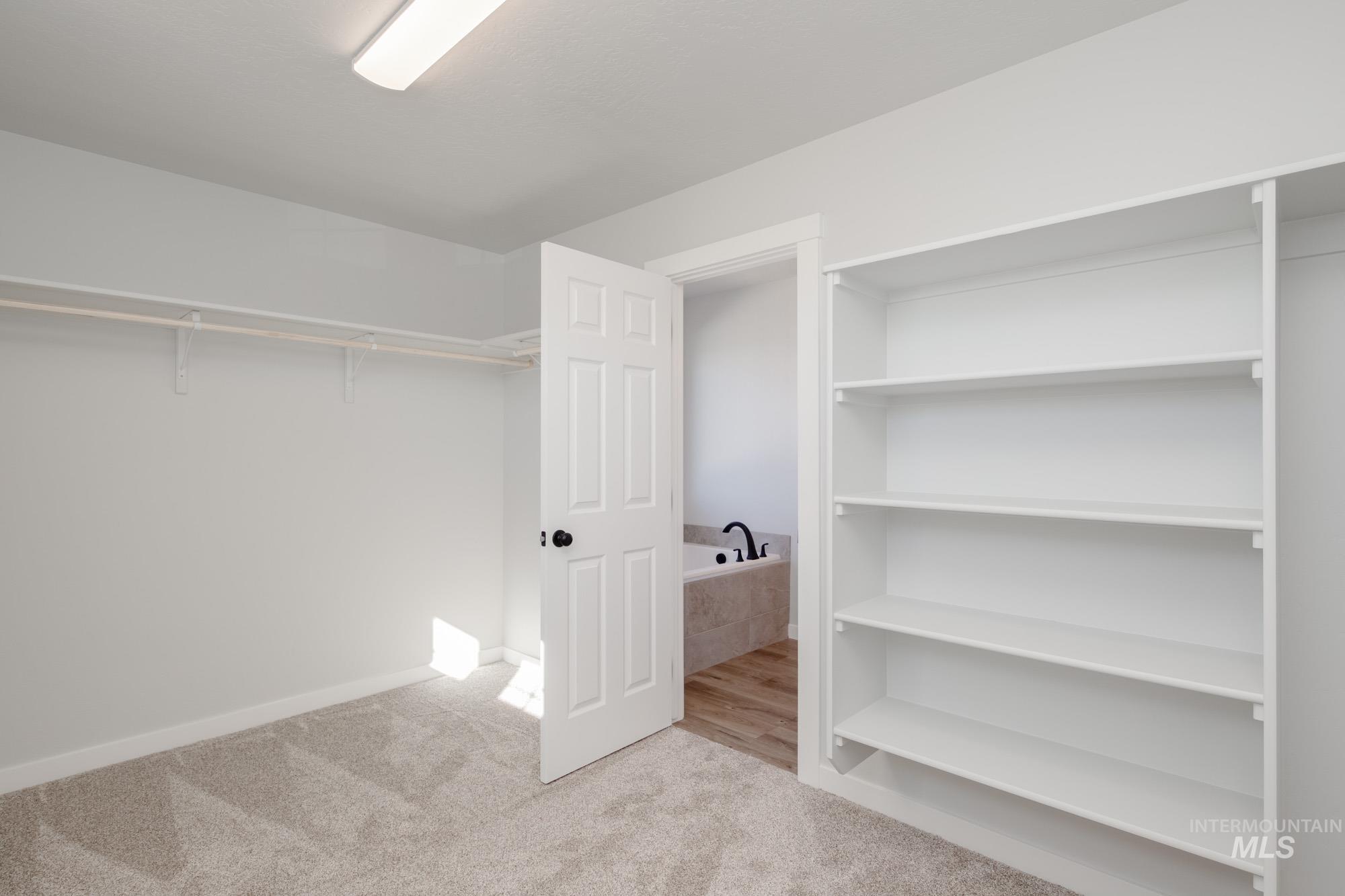 Walk in closet with light colored carpet