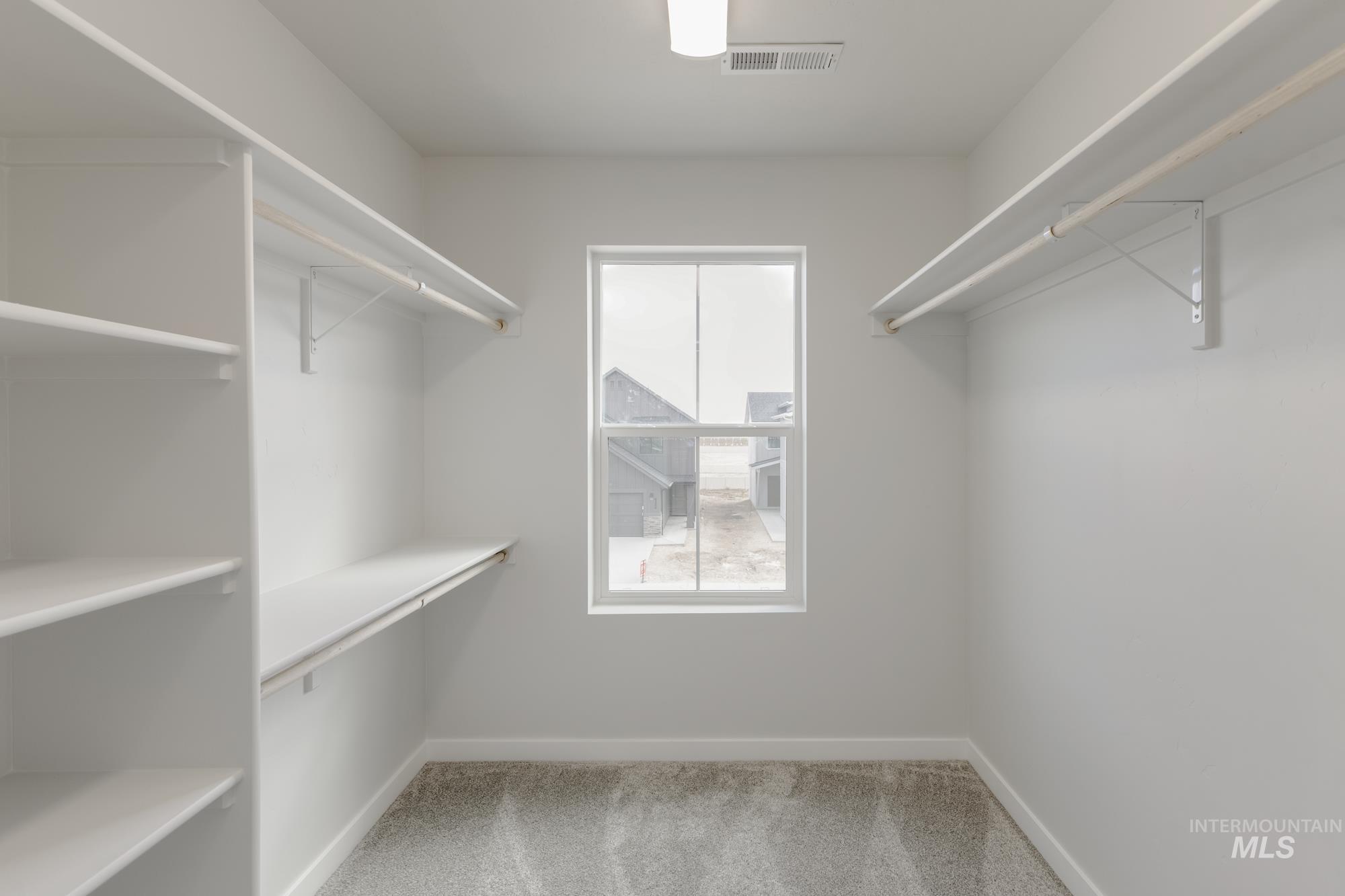 Spacious closet featuring light carpet