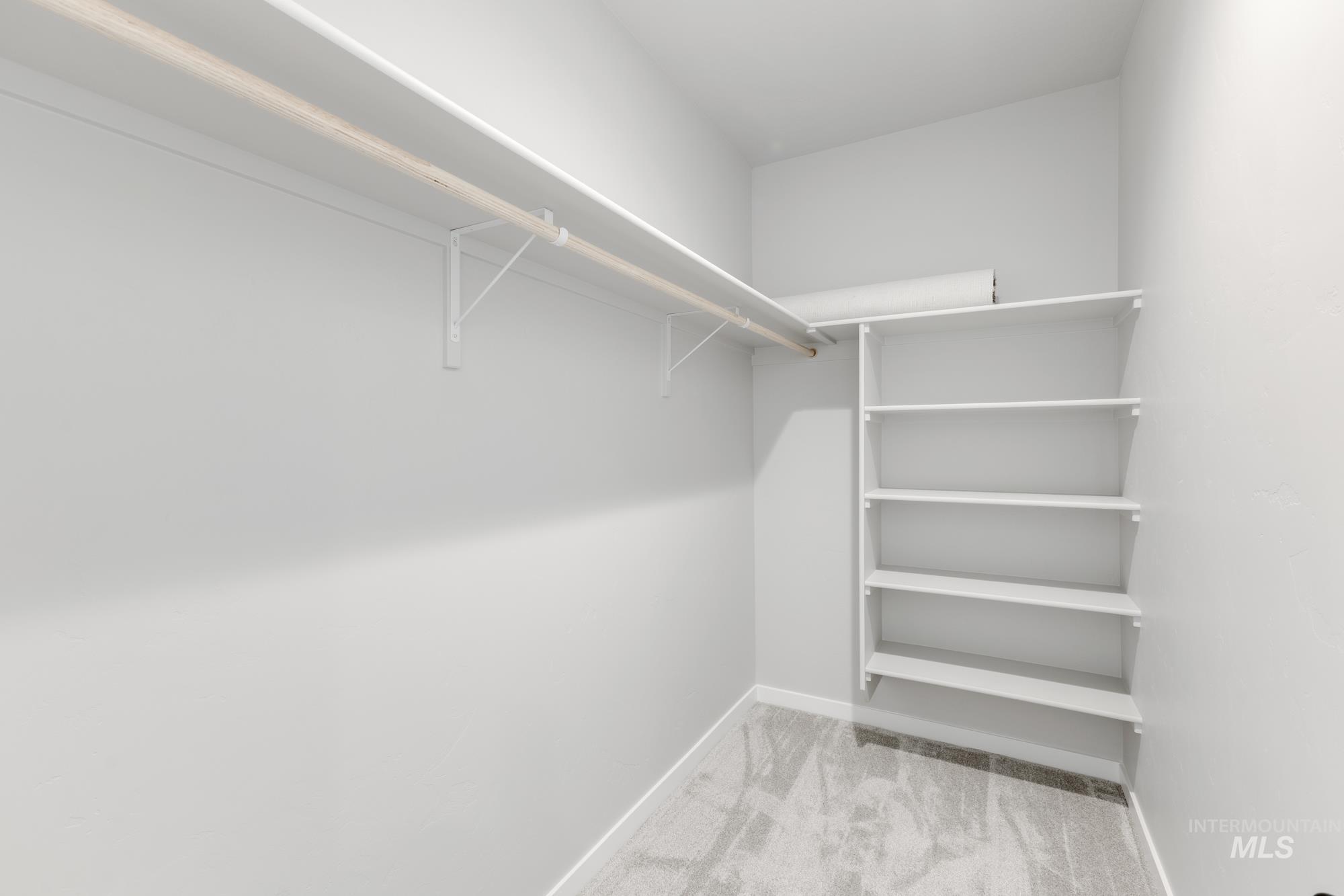 Walk in closet with light colored carpet