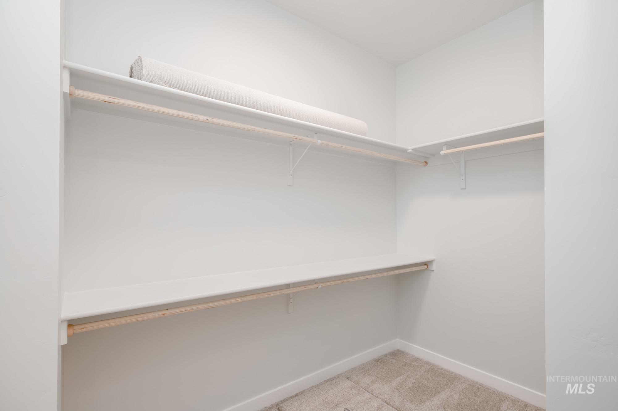 Spacious closet featuring light carpet