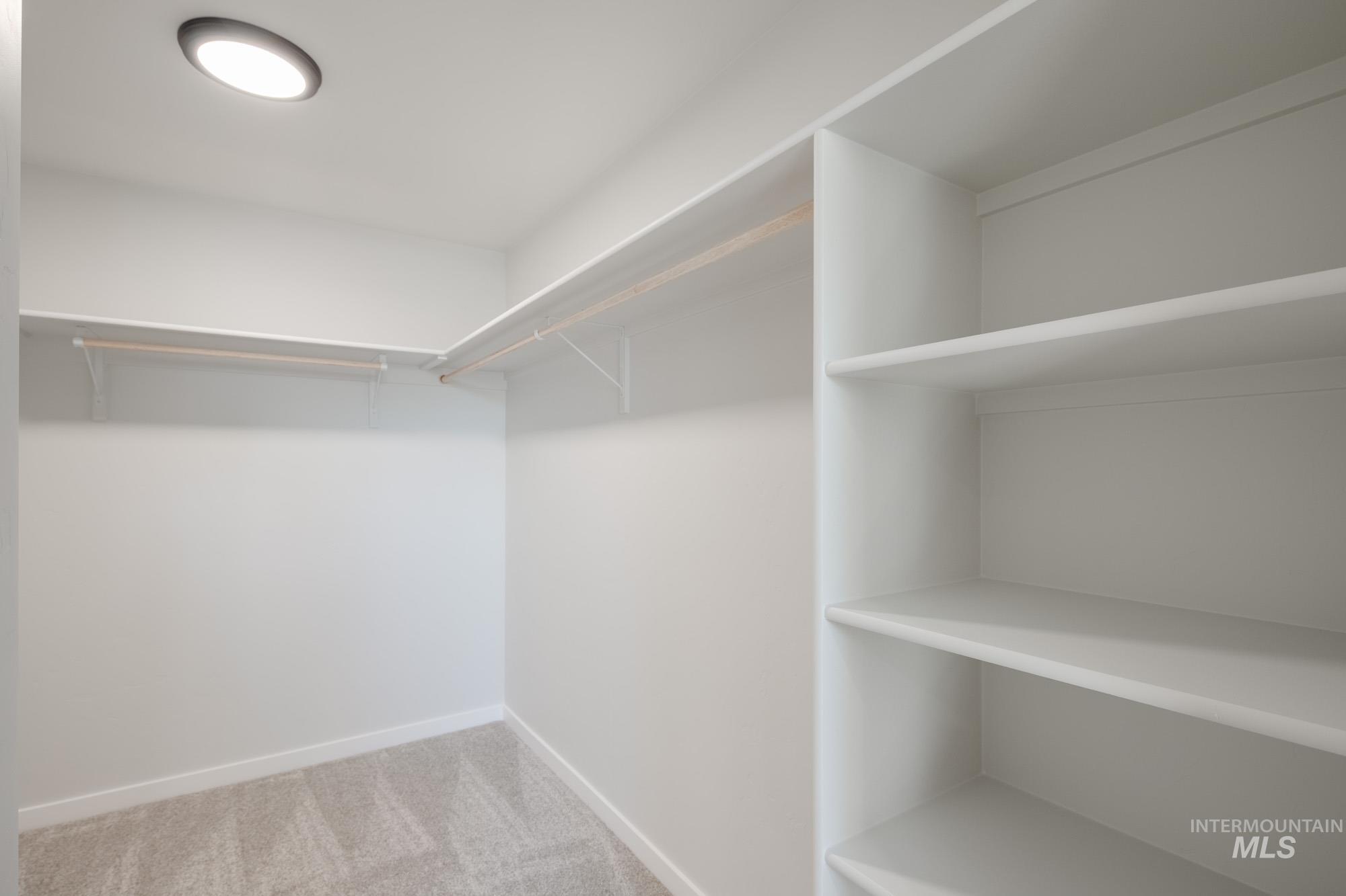 Spacious closet featuring light carpet