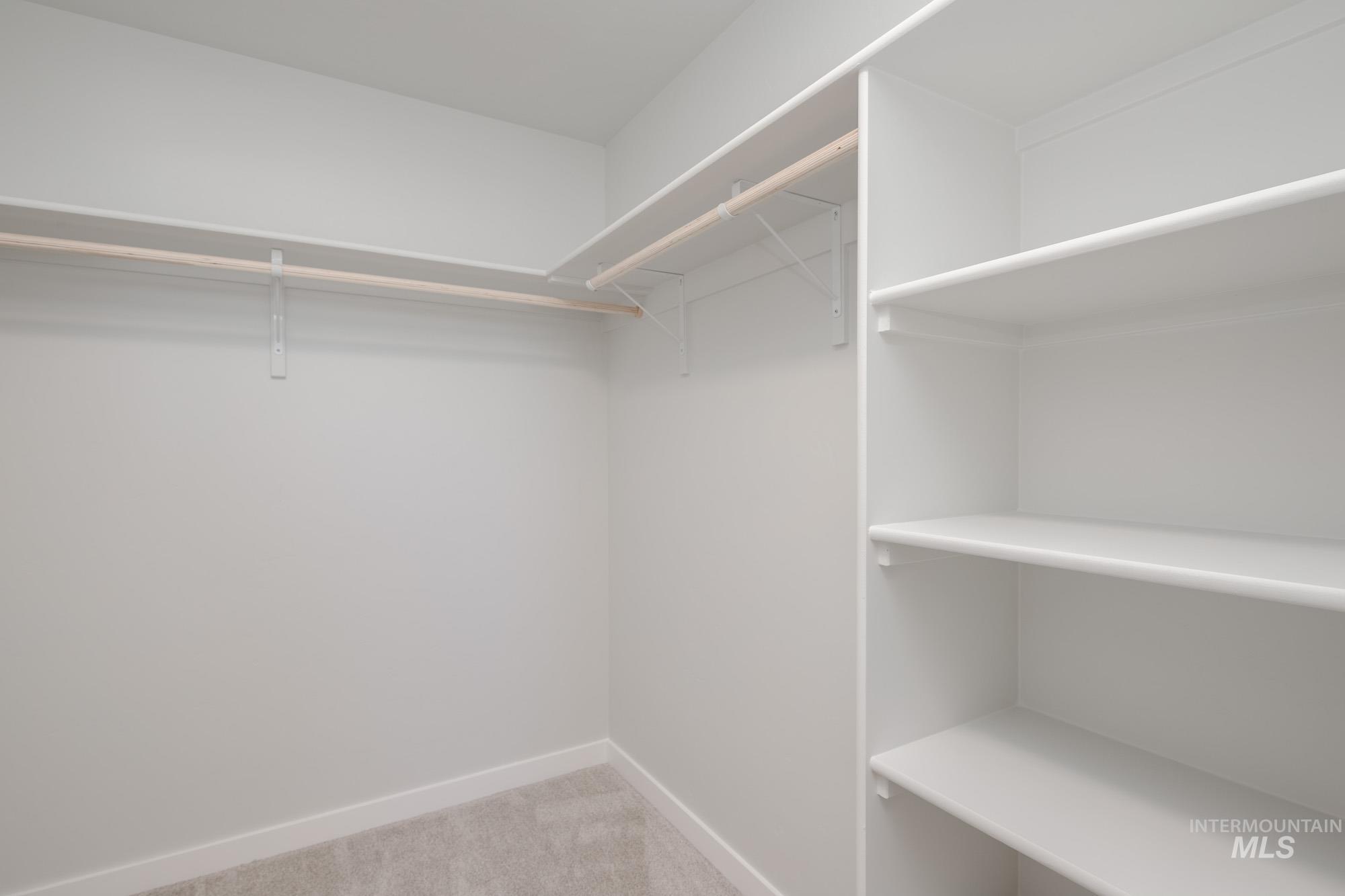 Walk in closet featuring light colored carpet