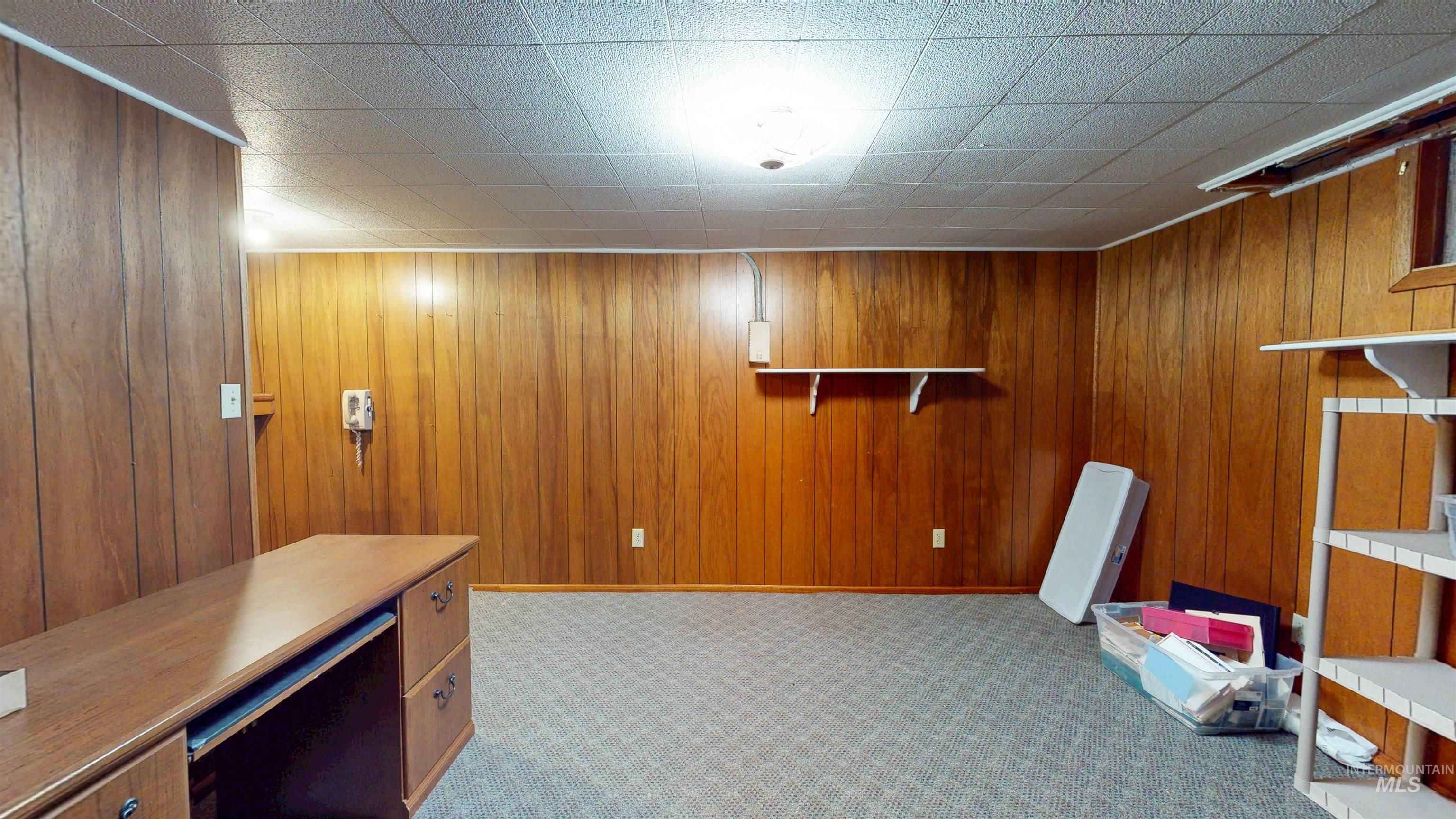 Unfurnished office featuring light carpet and wood walls