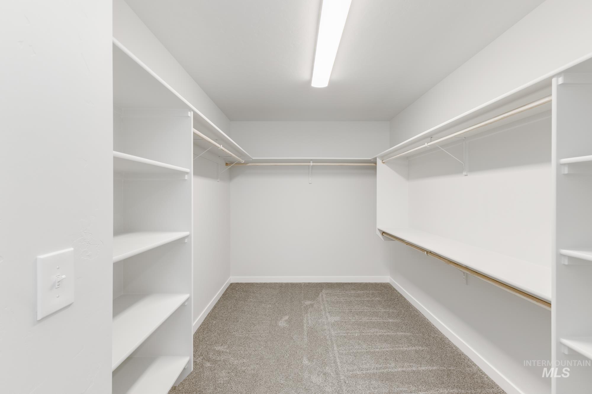 Spacious closet with light carpet