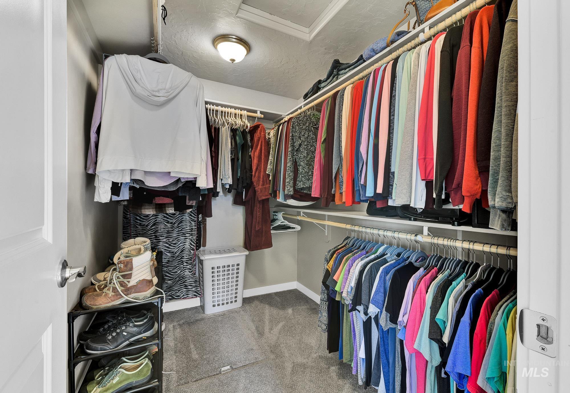 Spacious closet with light colored carpet and attic access
