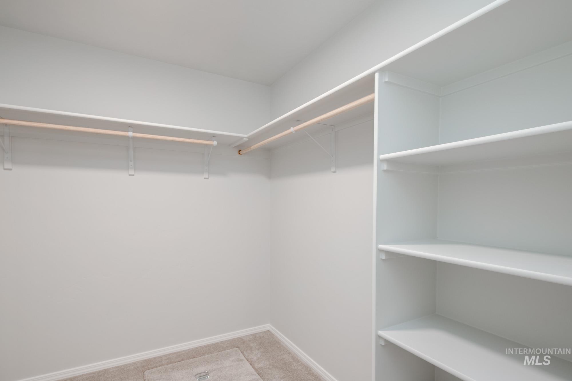 Walk in closet featuring light carpet