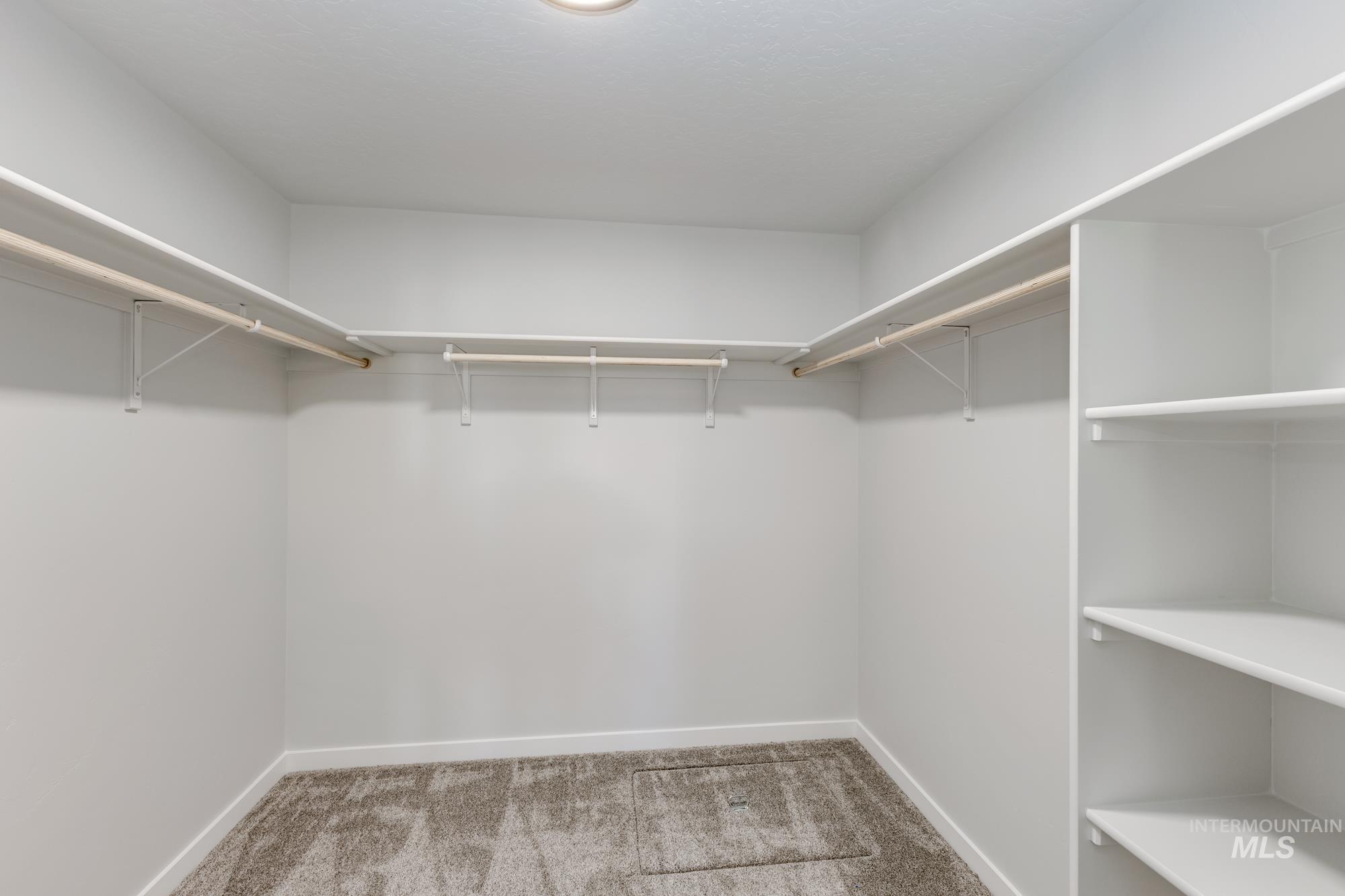 Spacious closet featuring light carpet