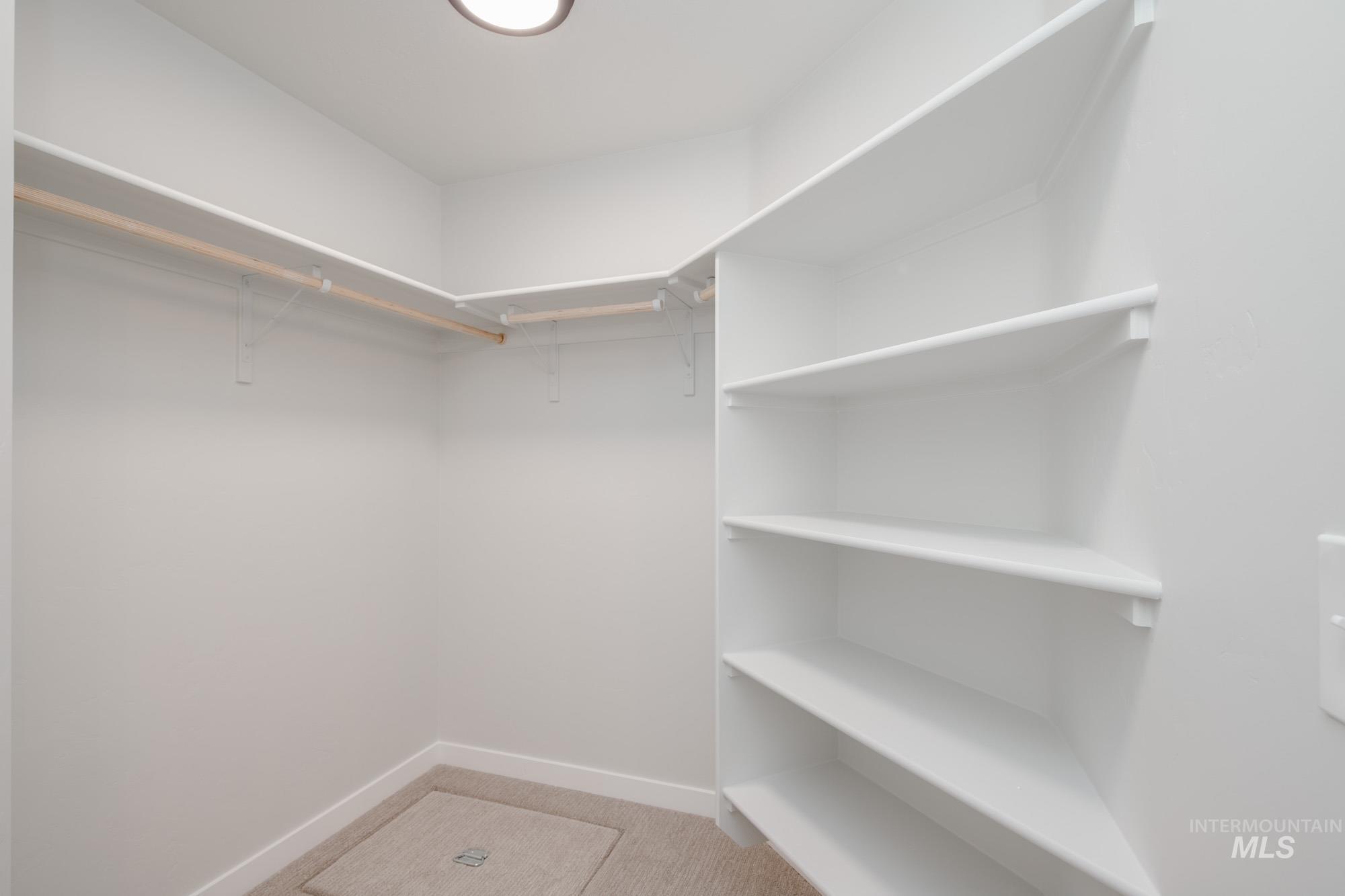 Spacious closet featuring light colored carpet