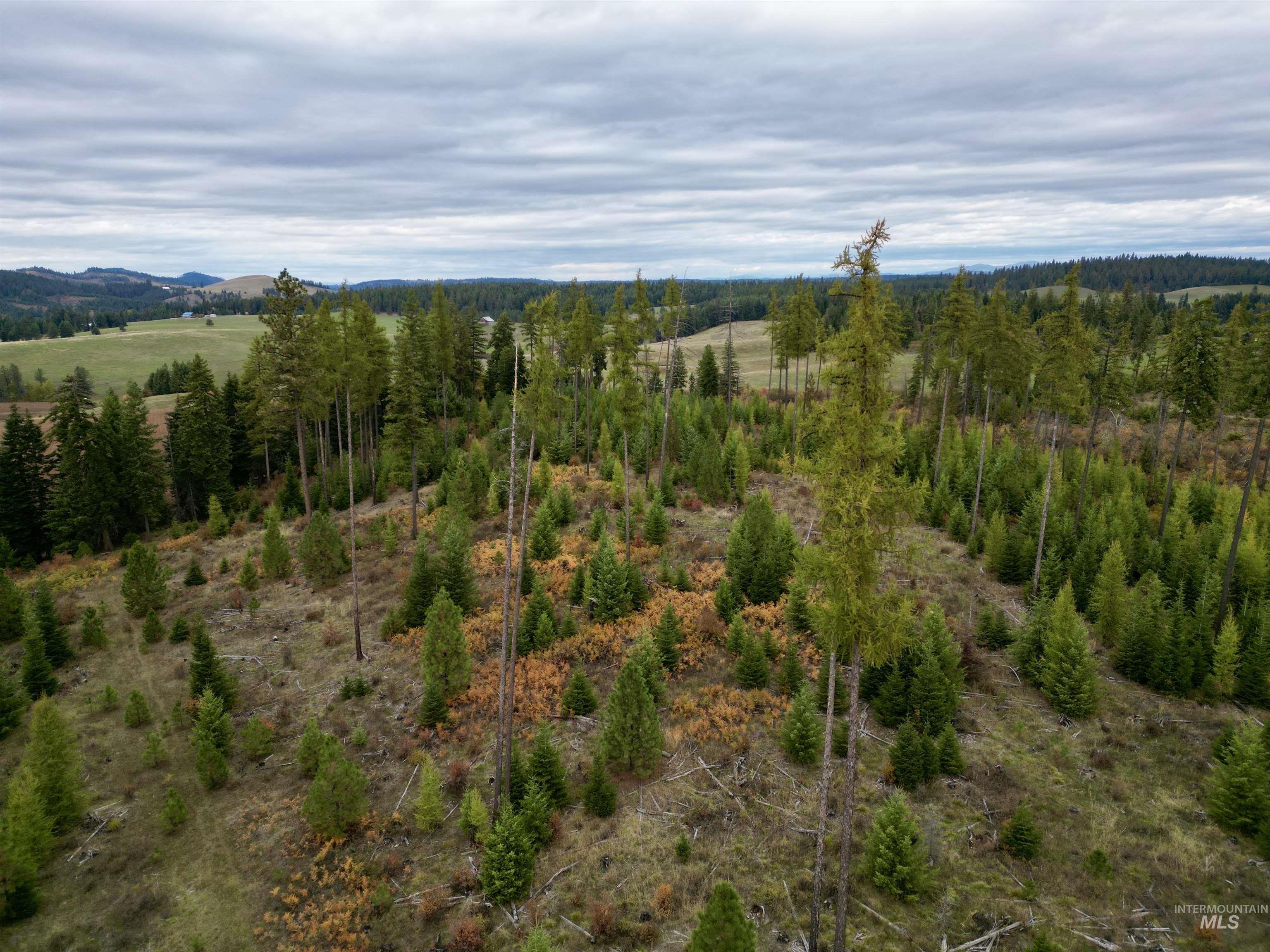TBD Parcel 2 Peaceful Valley Rd, Kamiah, Idaho 83536, Land For Sale, Price $152,000, 98965358