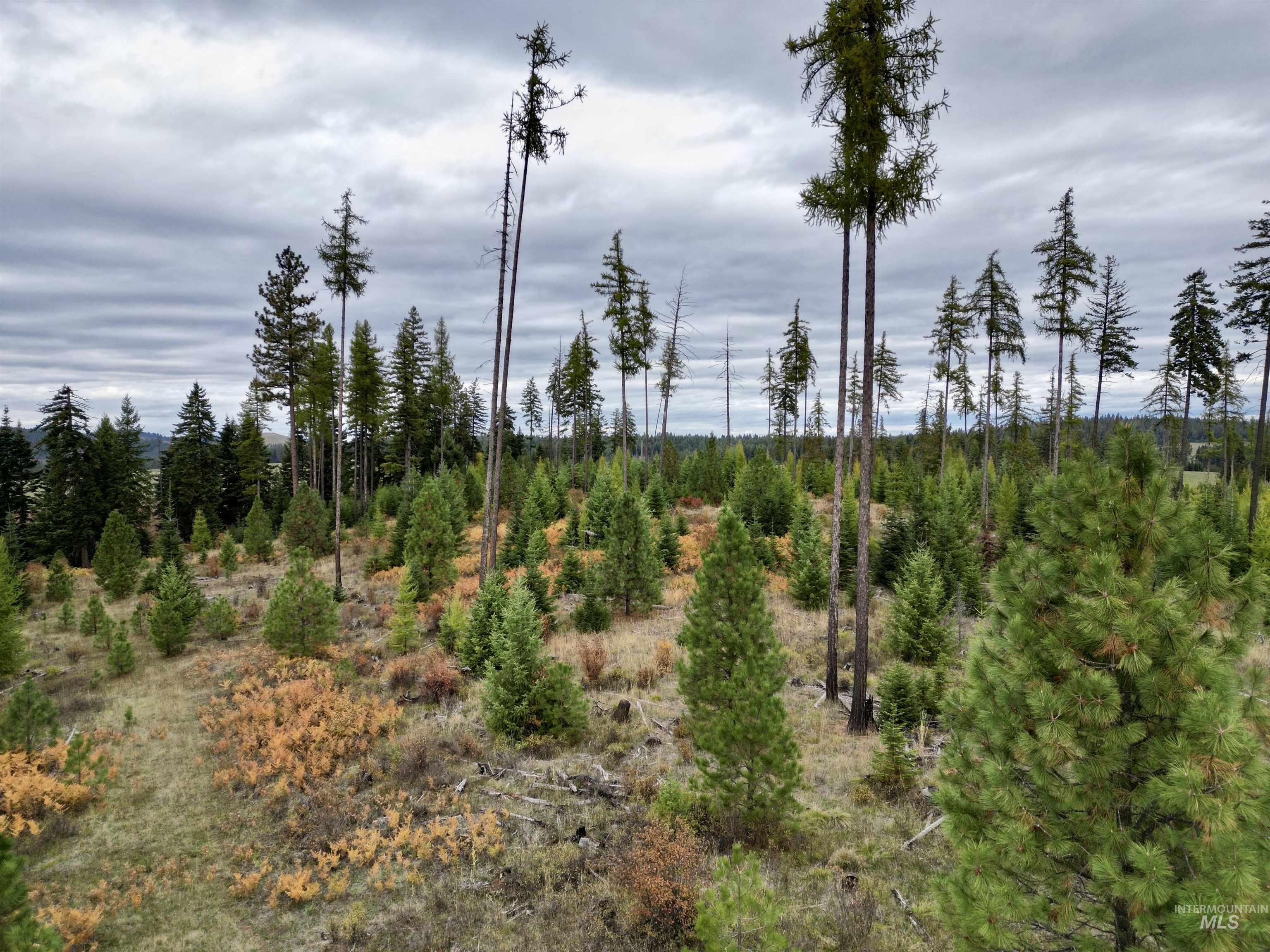 TBD Parcel 2 Peaceful Valley Rd, Kamiah, Idaho 83536, Land For Sale, Price $152,000, 98965358
