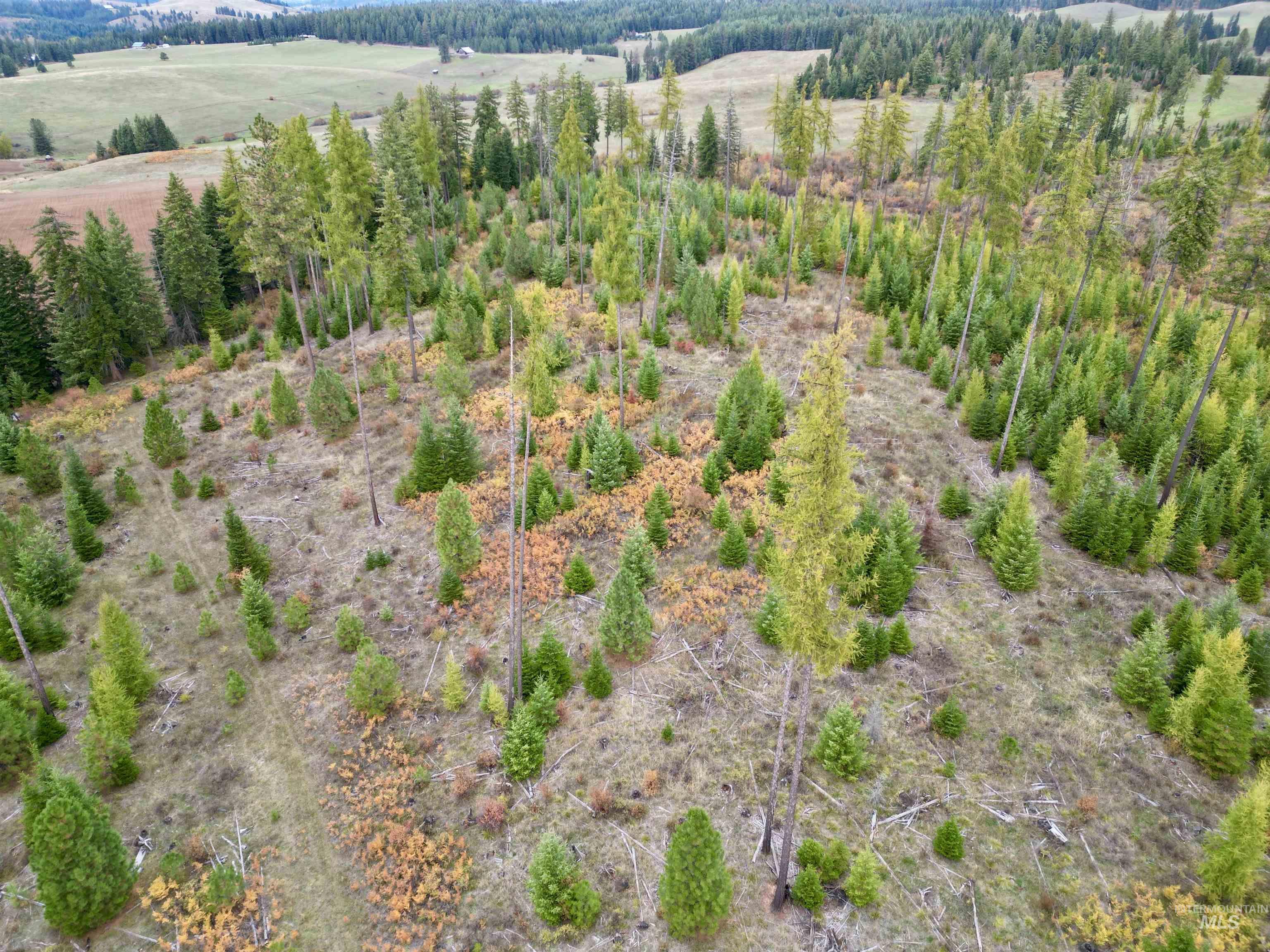 TBD Parcel 2 Peaceful Valley Rd, Kamiah, Idaho 83536, Land For Sale, Price $152,000, 98965358