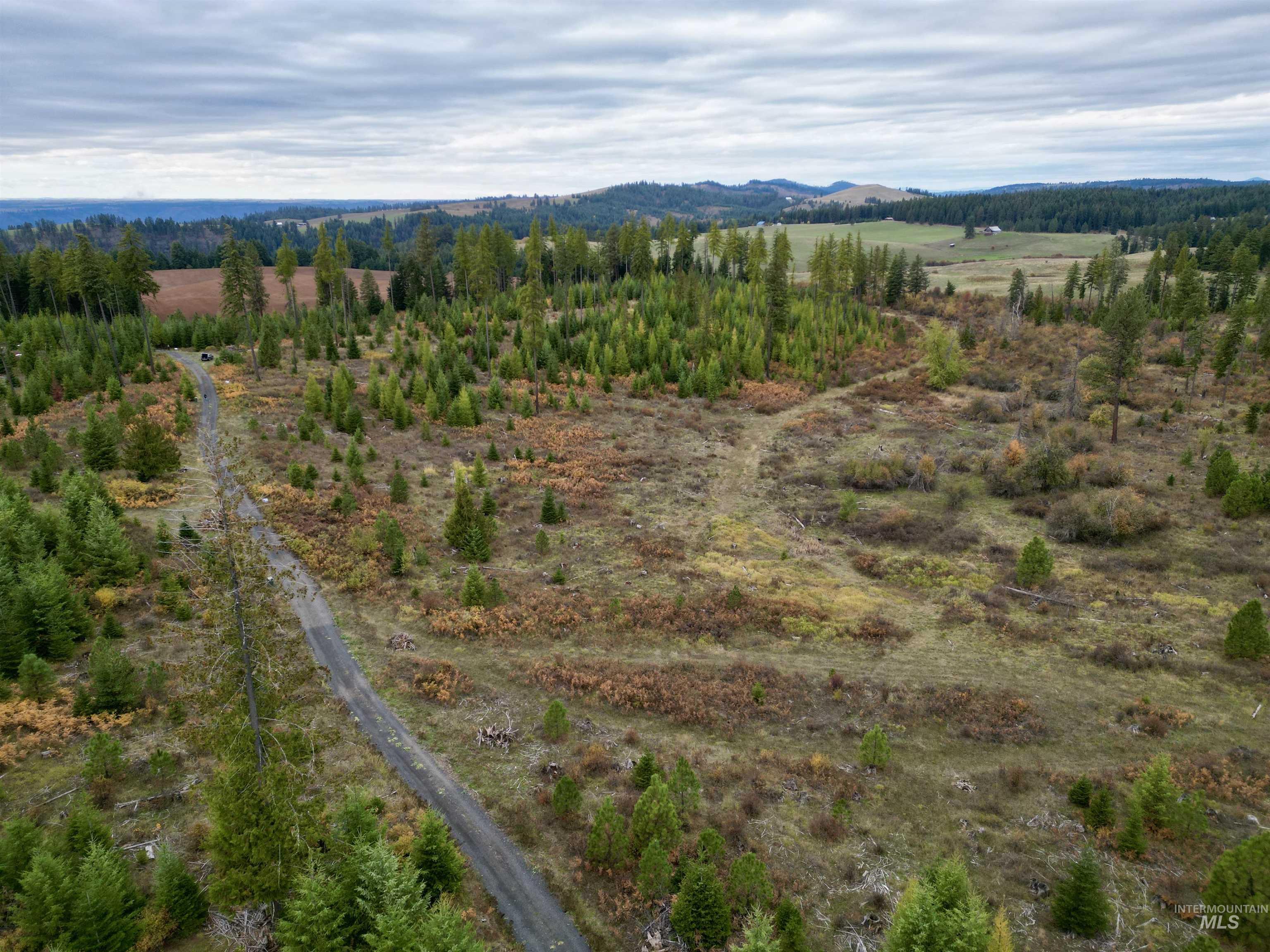 TBD Parcel 2 Peaceful Valley Rd, Kamiah, Idaho 83536, Land For Sale, Price $152,000, 98965358