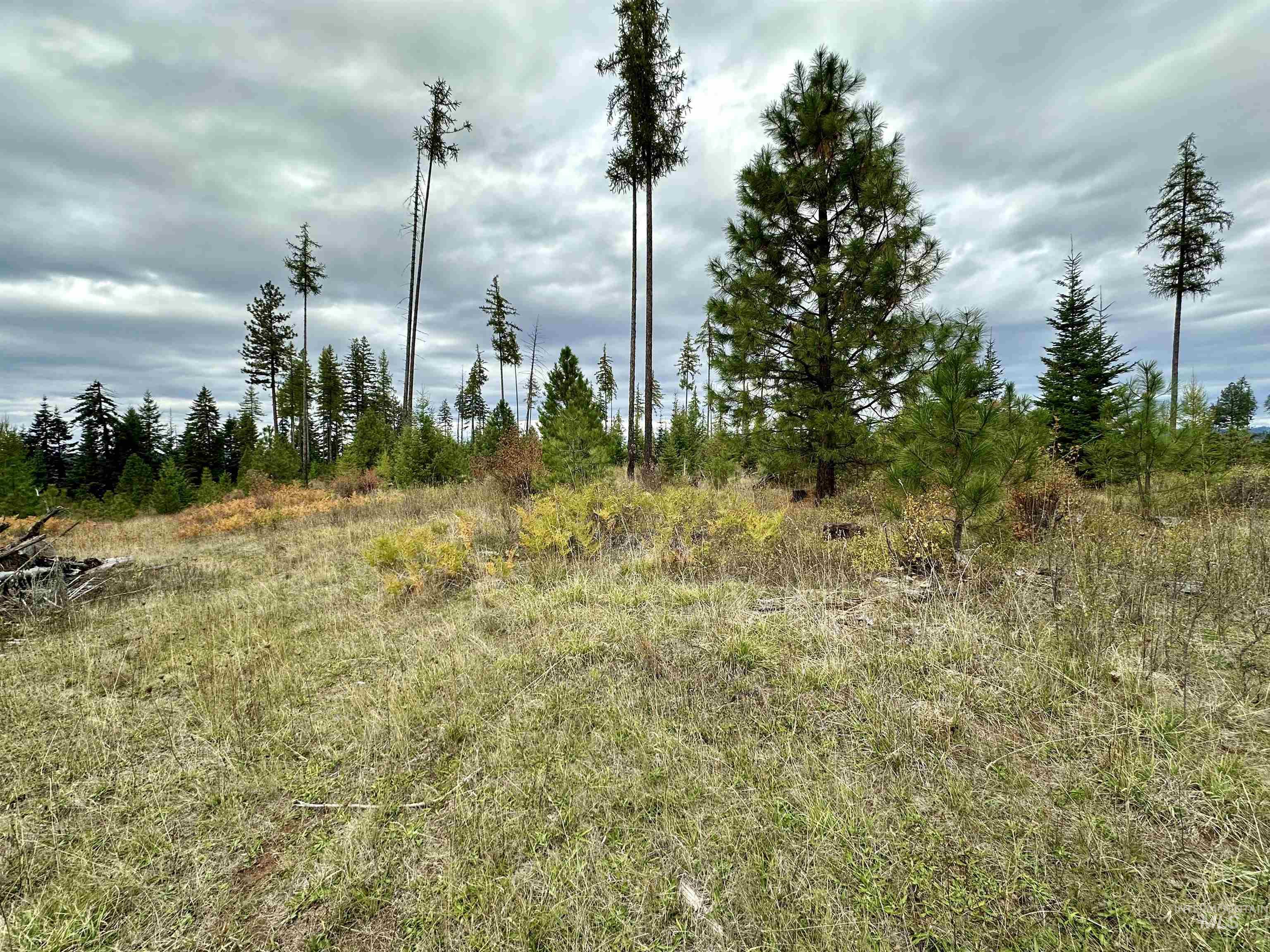 TBD Parcel 2 Peaceful Valley Rd, Kamiah, Idaho 83536, Land For Sale, Price $152,000, 98965358