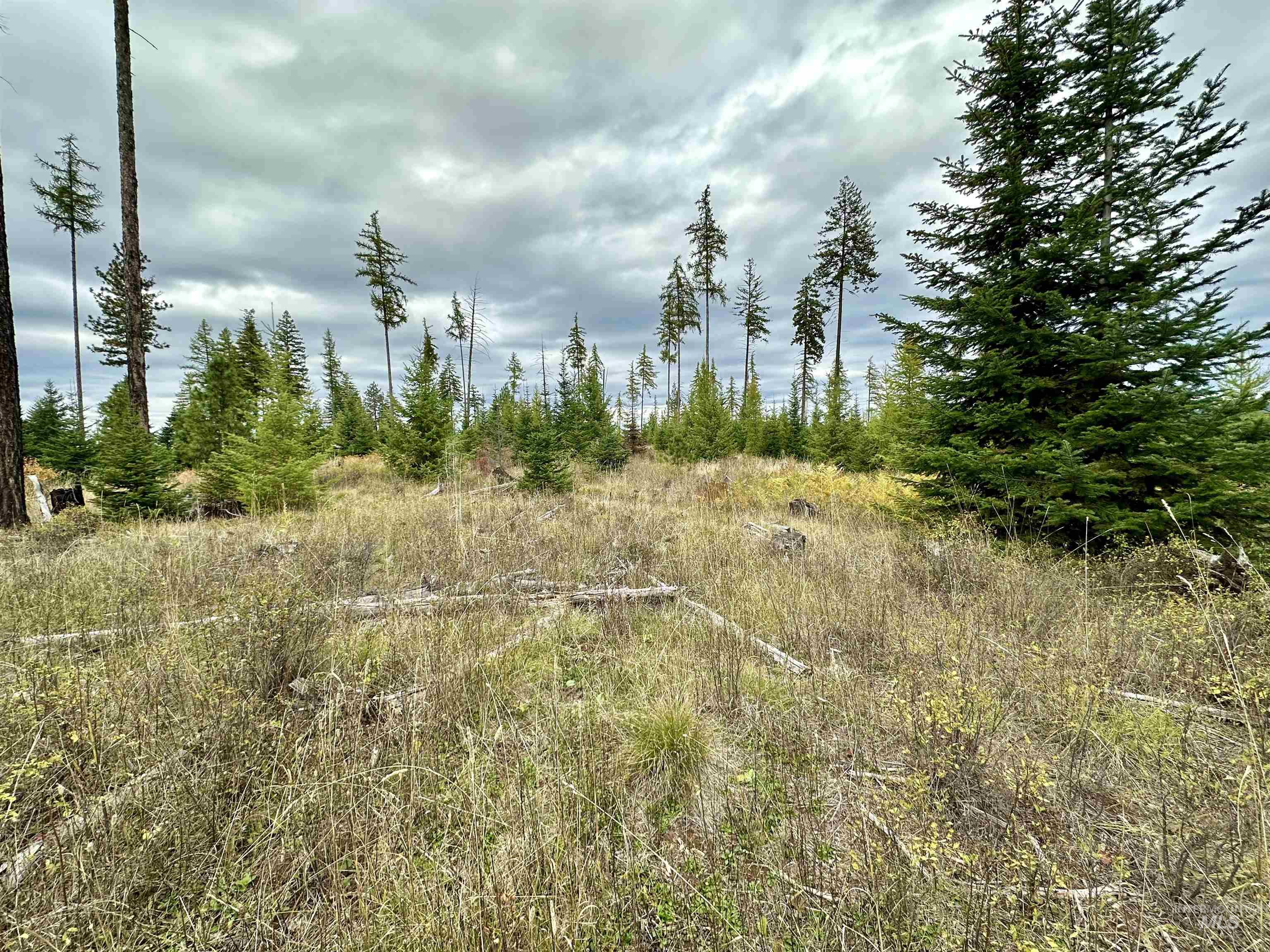 TBD Parcel 2 Peaceful Valley Rd, Kamiah, Idaho 83536, Land For Sale, Price $152,000, 98965358