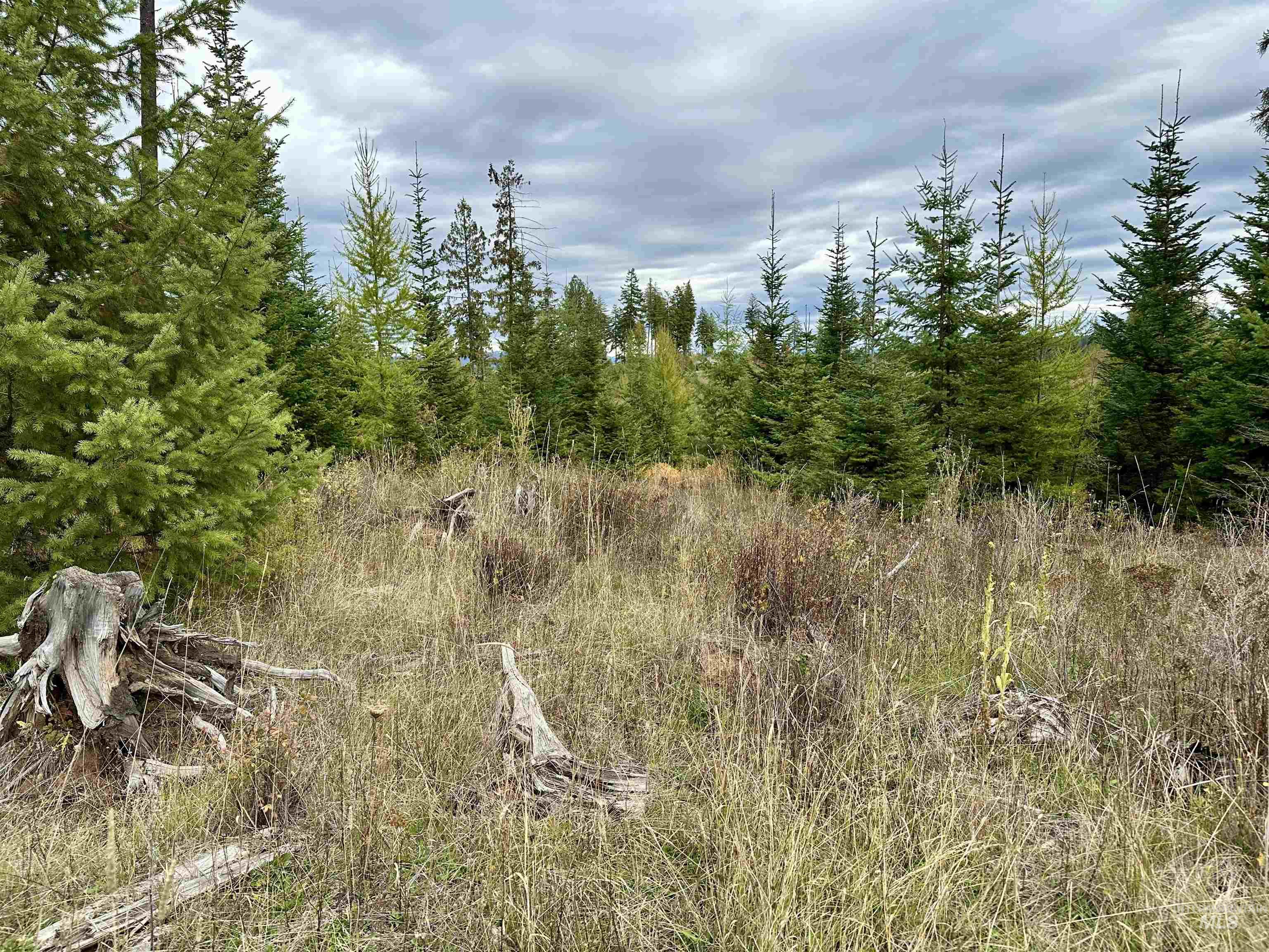 TBD Parcel 2 Peaceful Valley Rd, Kamiah, Idaho 83536, Land For Sale, Price $152,000, 98965358