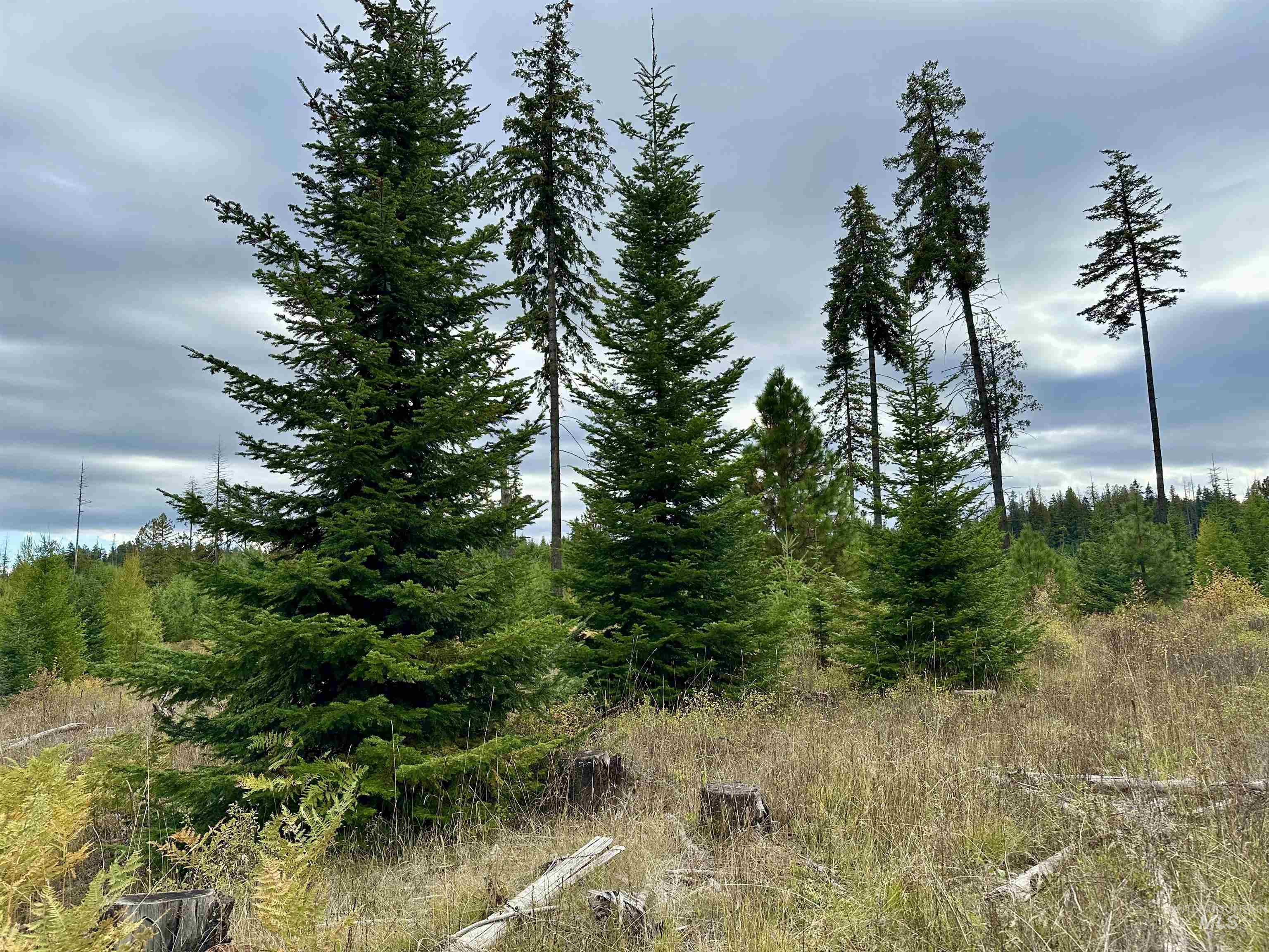 TBD Parcel 2 Peaceful Valley Rd, Kamiah, Idaho 83536, Land For Sale, Price $152,000, 98965358