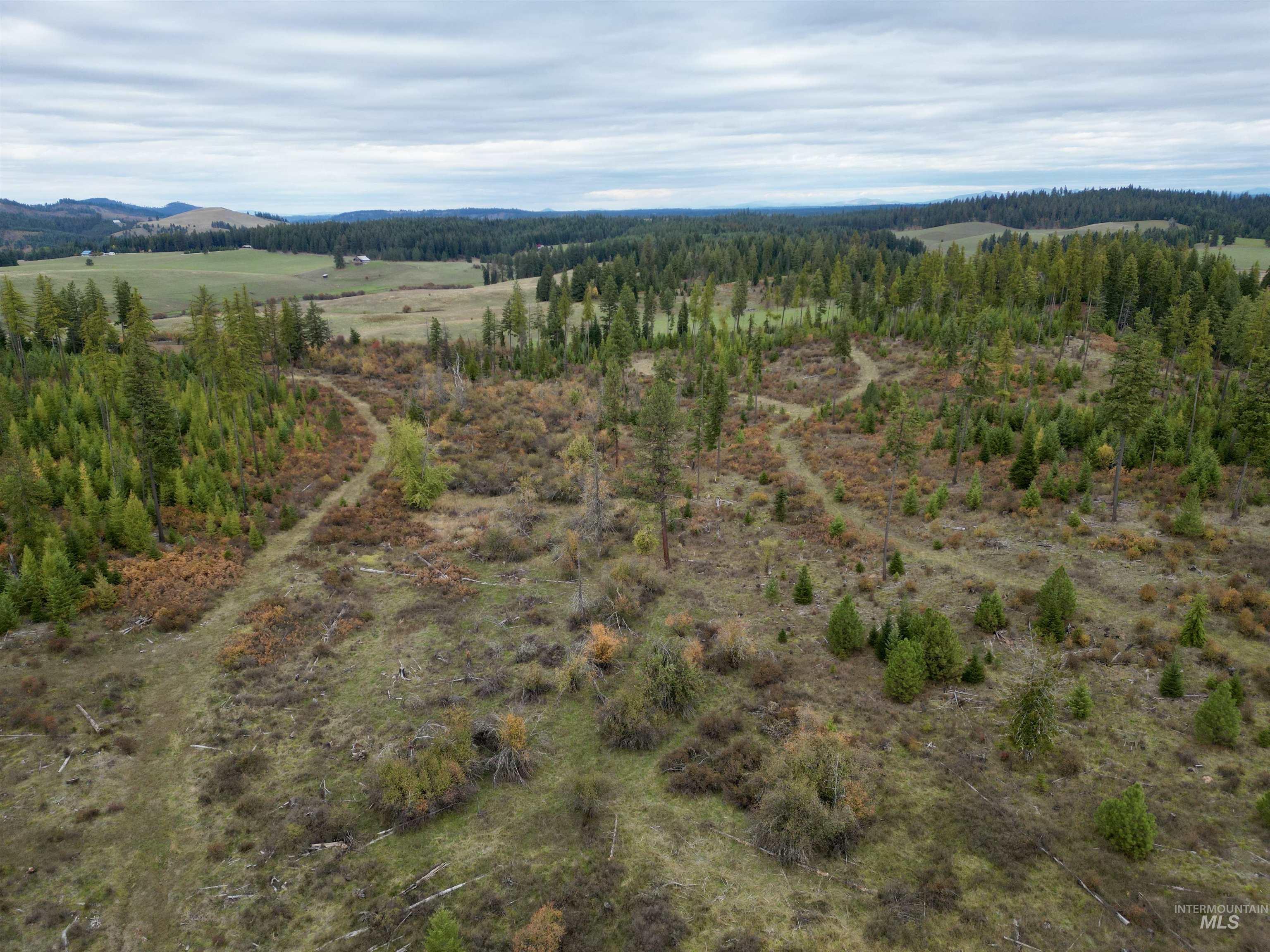 TBD Parcel 3 Peaceful Valley Rd., Kamiah, Idaho 83536, Land For Sale, Price $145,000, 98965361