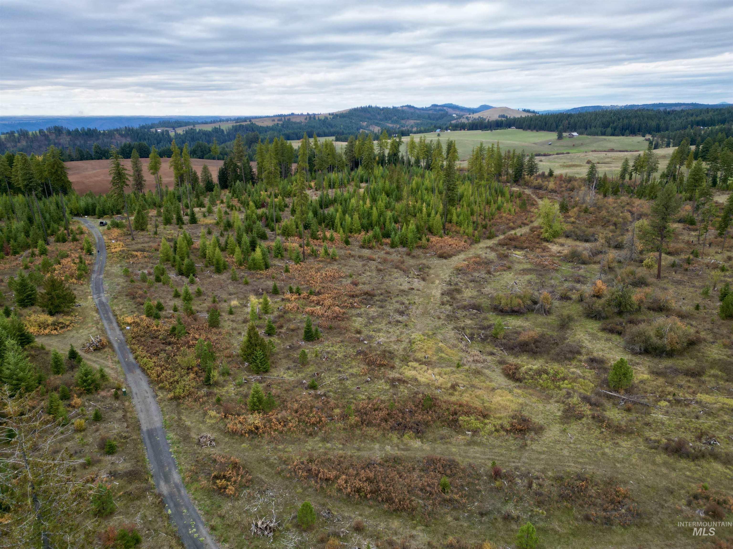 TBD Parcel 3 Peaceful Valley Rd., Kamiah, Idaho 83536, Land For Sale, Price $145,000, 98965361