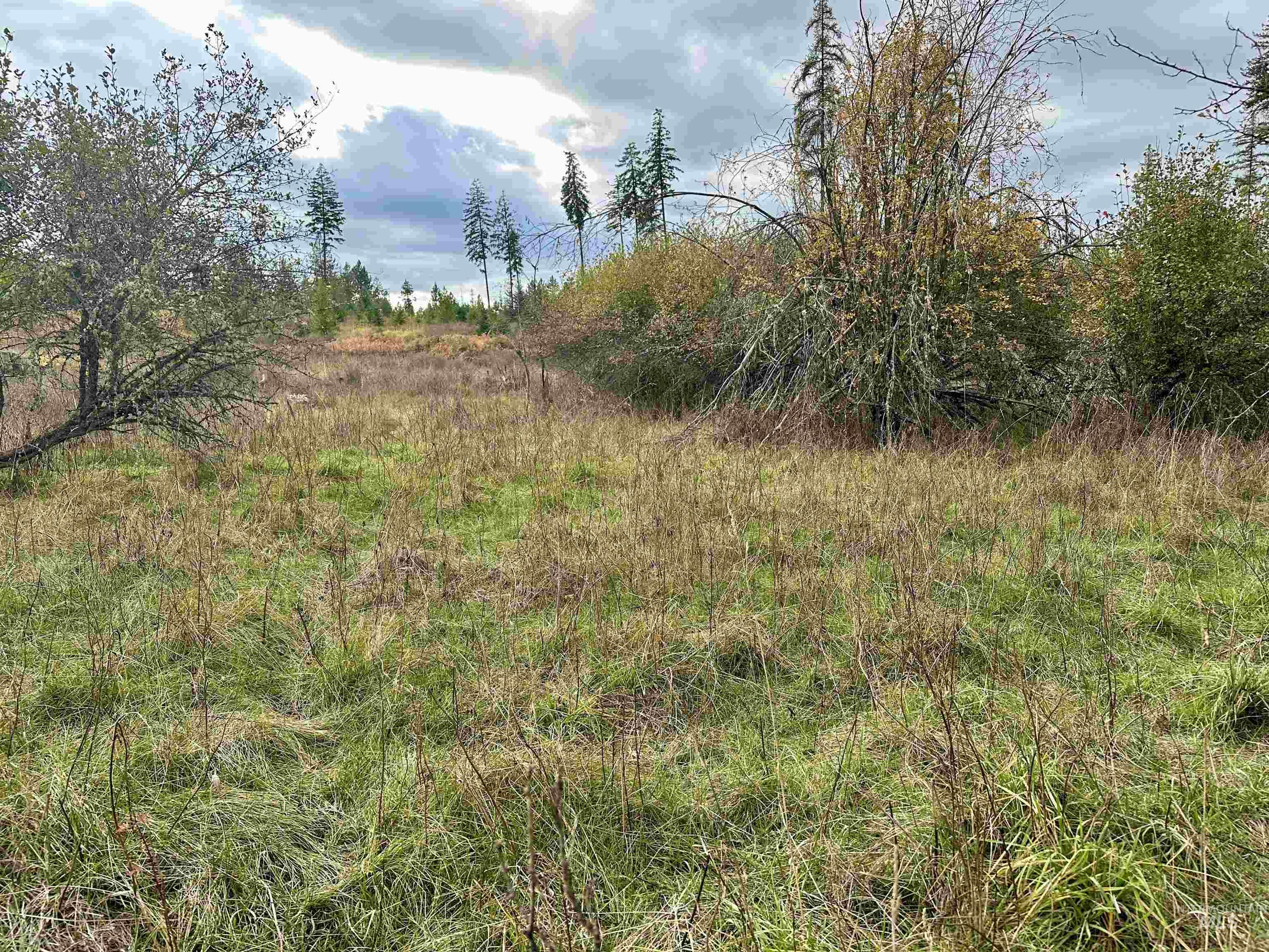 TBD Parcel 3 Peaceful Valley Rd., Kamiah, Idaho 83536, Land For Sale, Price $145,000, 98965361