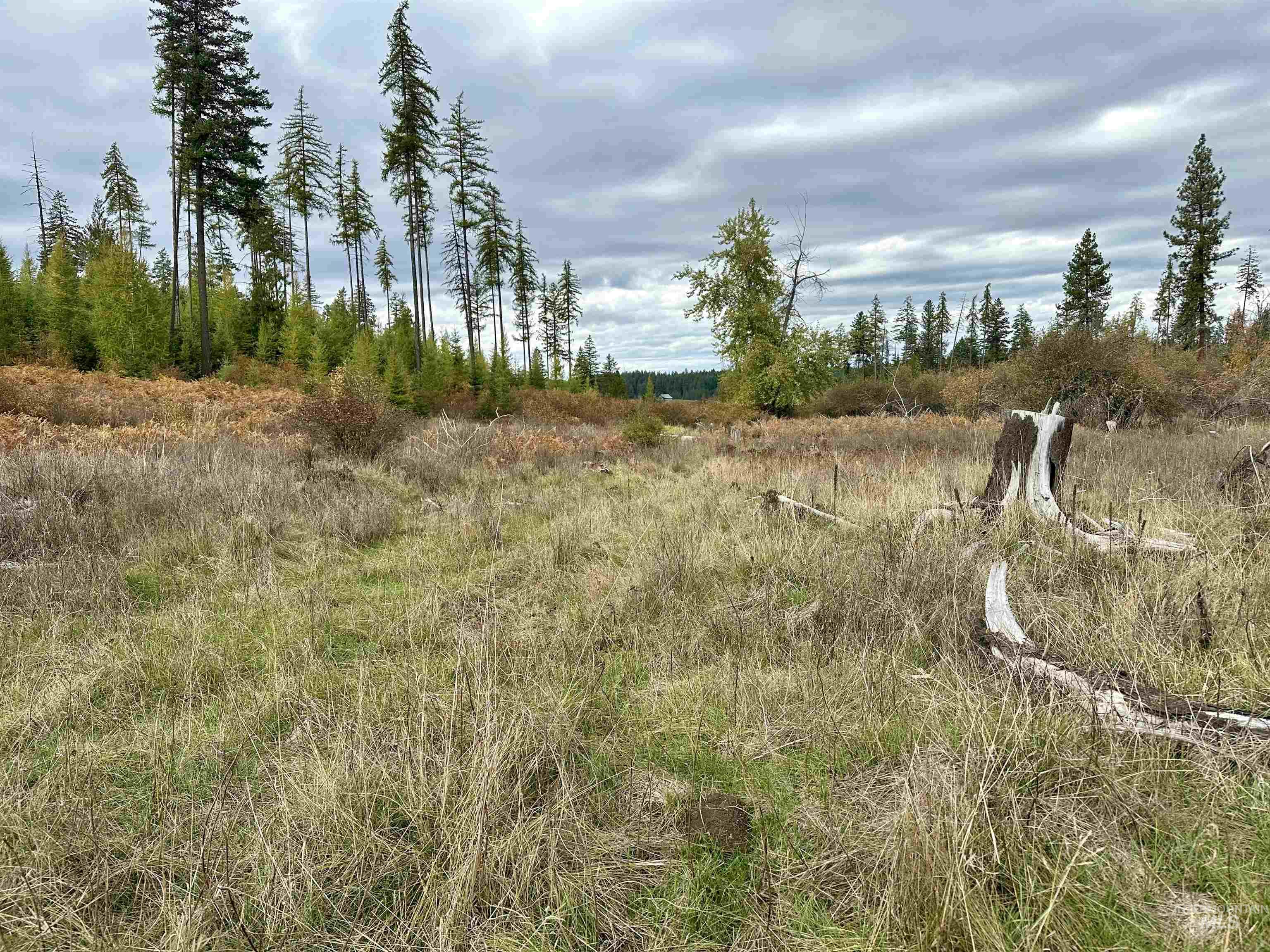 TBD Parcel 3 Peaceful Valley Rd., Kamiah, Idaho 83536, Land For Sale, Price $145,000, 98965361