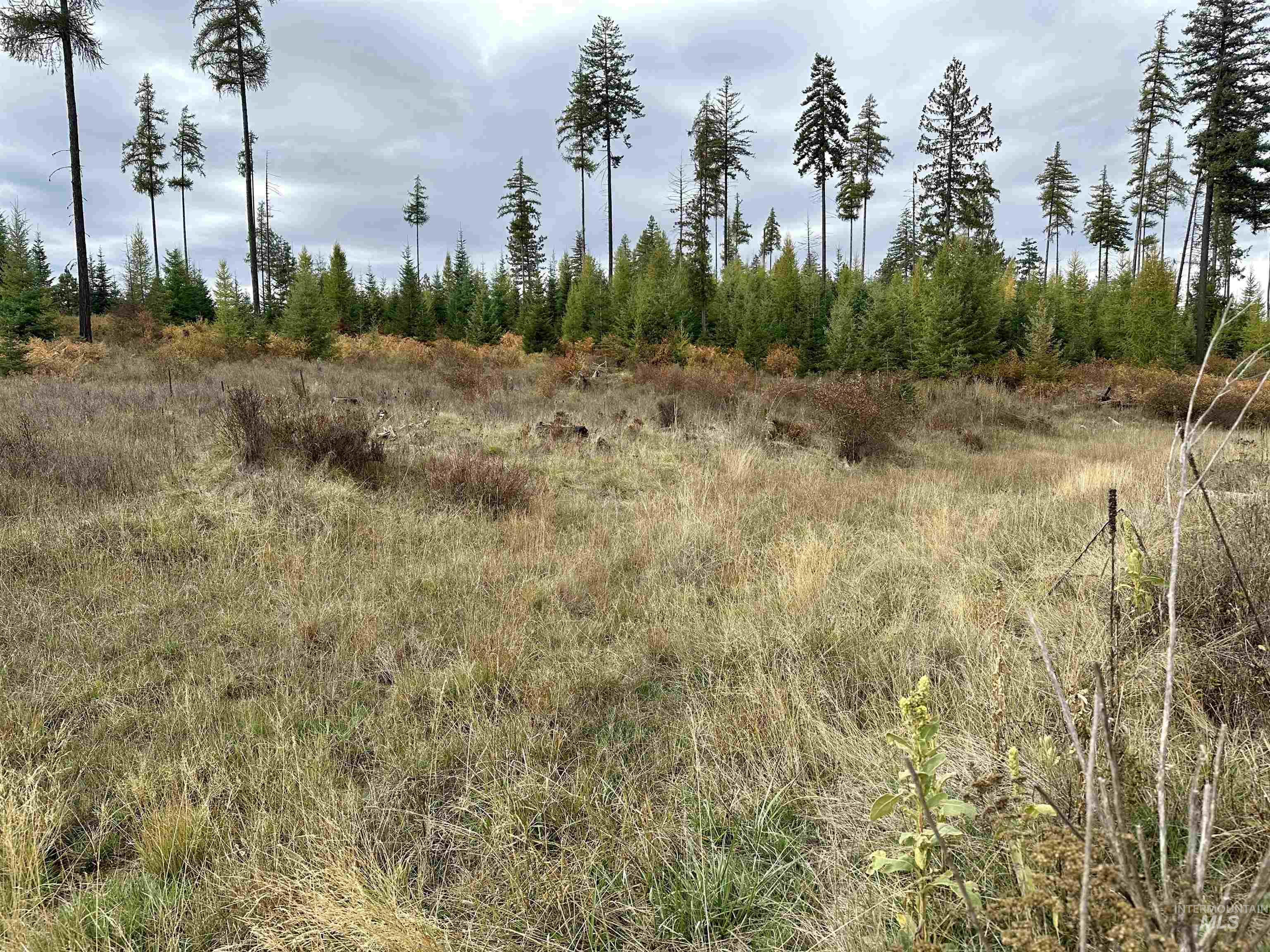 TBD Parcel 3 Peaceful Valley Rd., Kamiah, Idaho 83536, Land For Sale, Price $145,000, 98965361