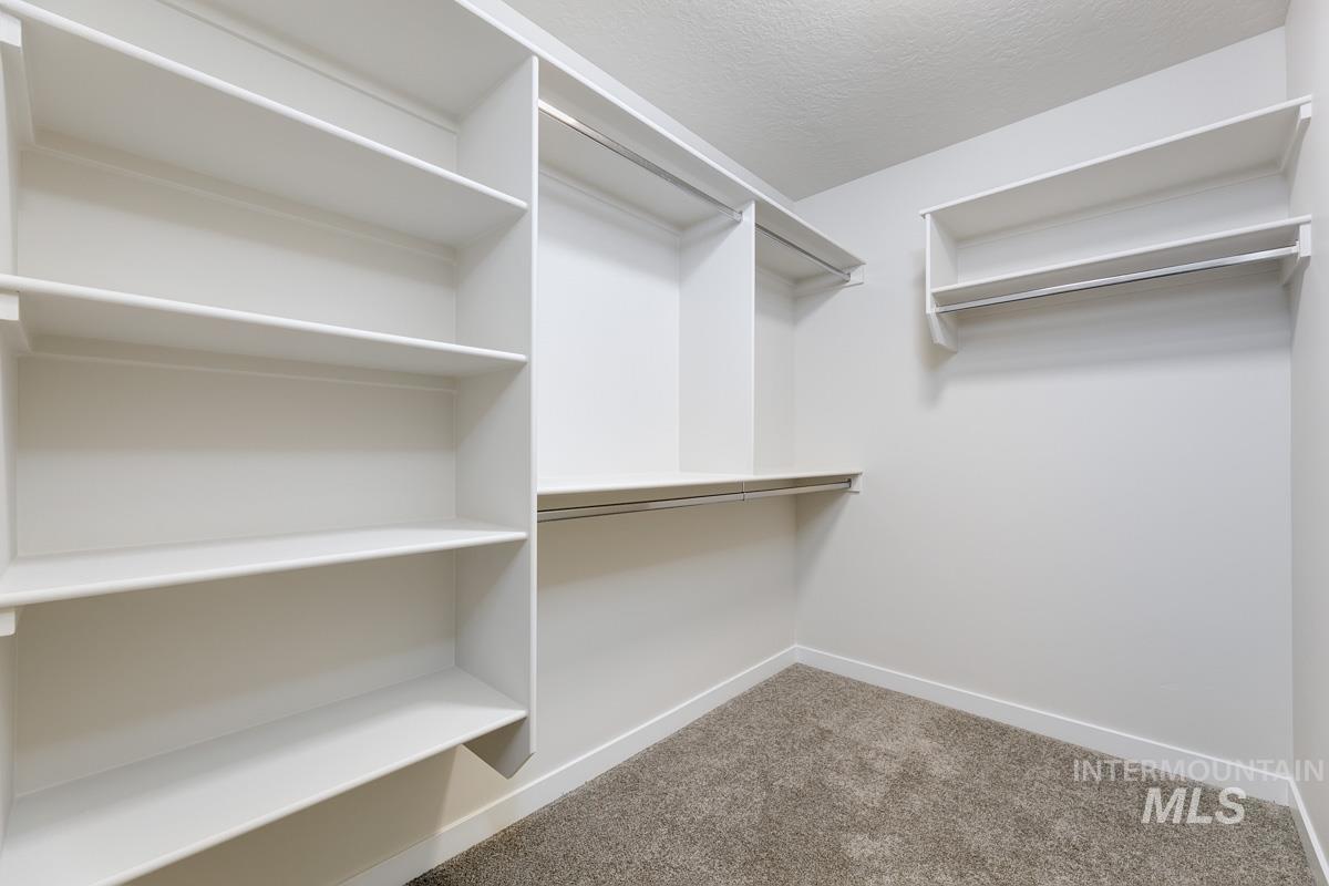 Walk in closet with light colored carpet