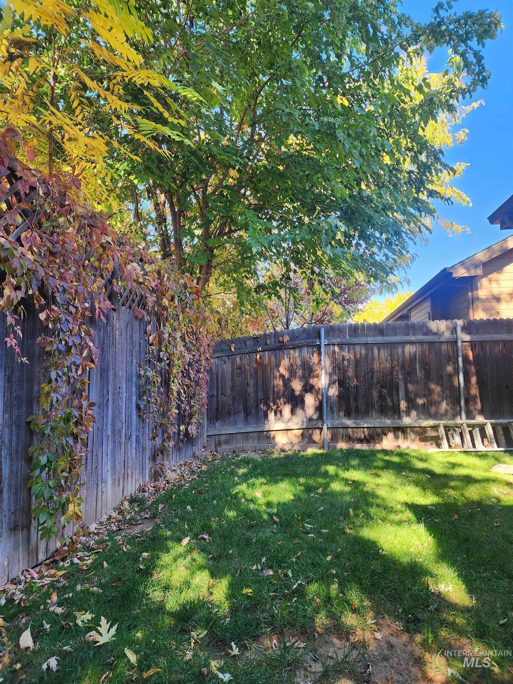 View of fenced backyard