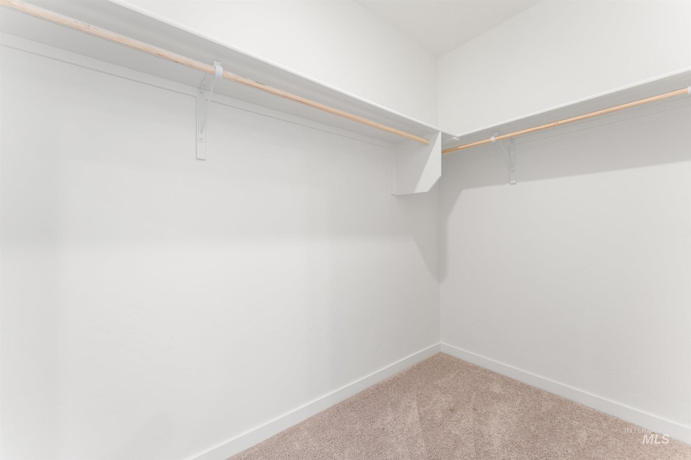 Walk in closet with light carpet
