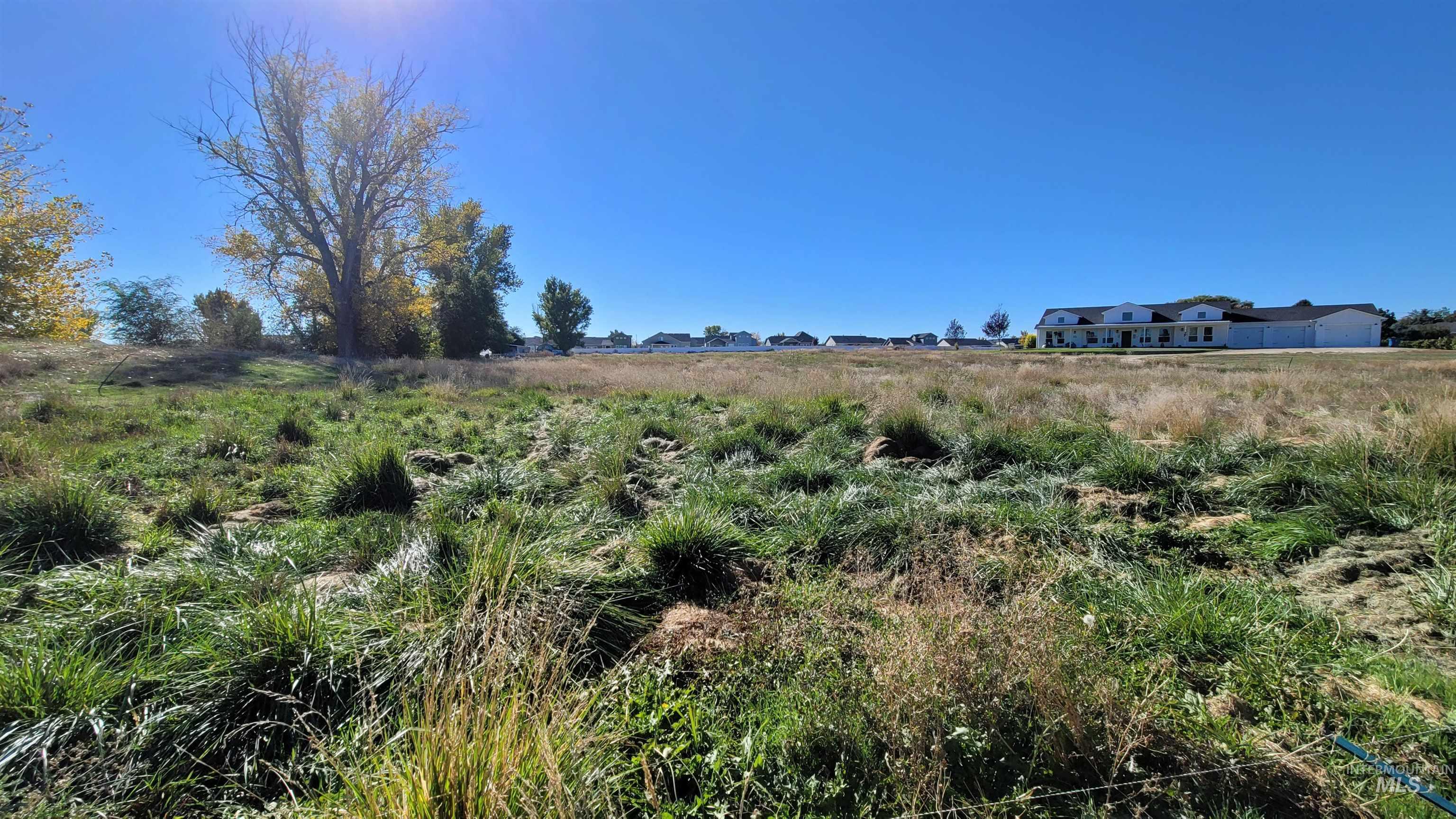 View of local wilderness featuring rural landscape