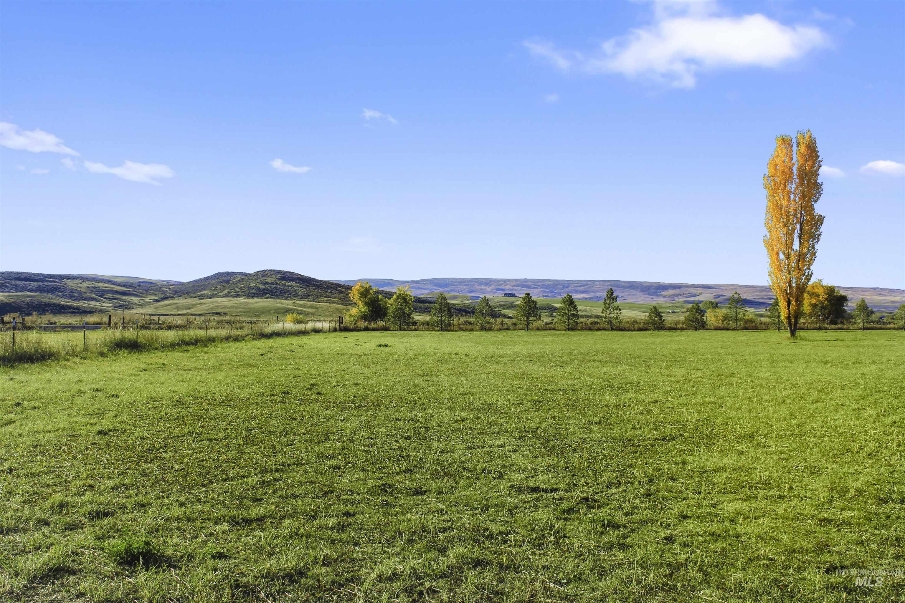 View of grassy yard with a view of rural / pastoral area and a mountain view